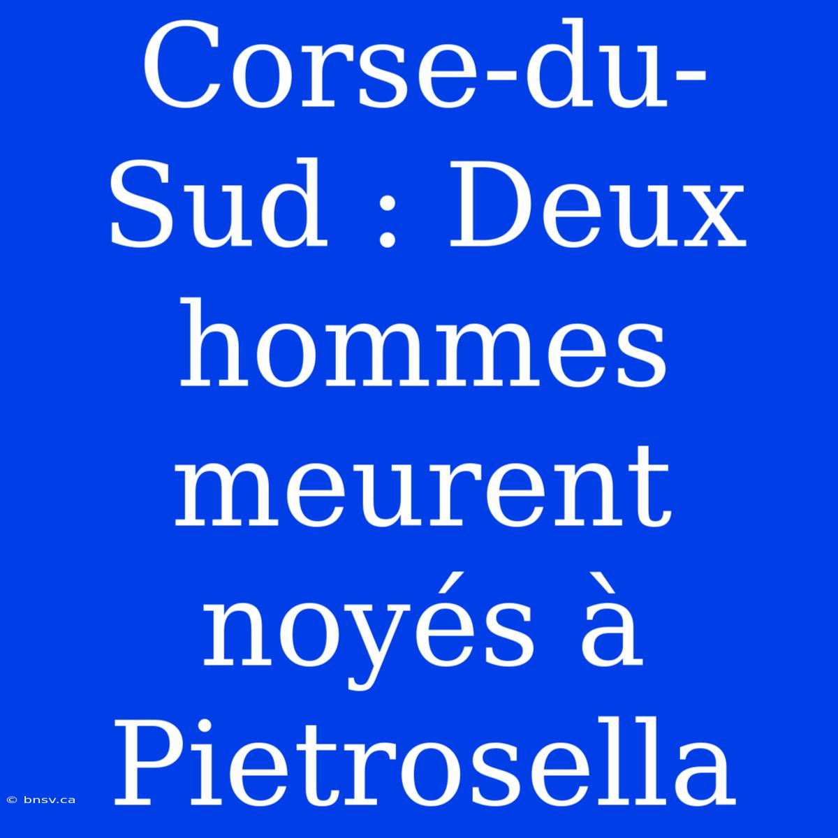 Corse-du-Sud : Deux Hommes Meurent Noyés À Pietrosella