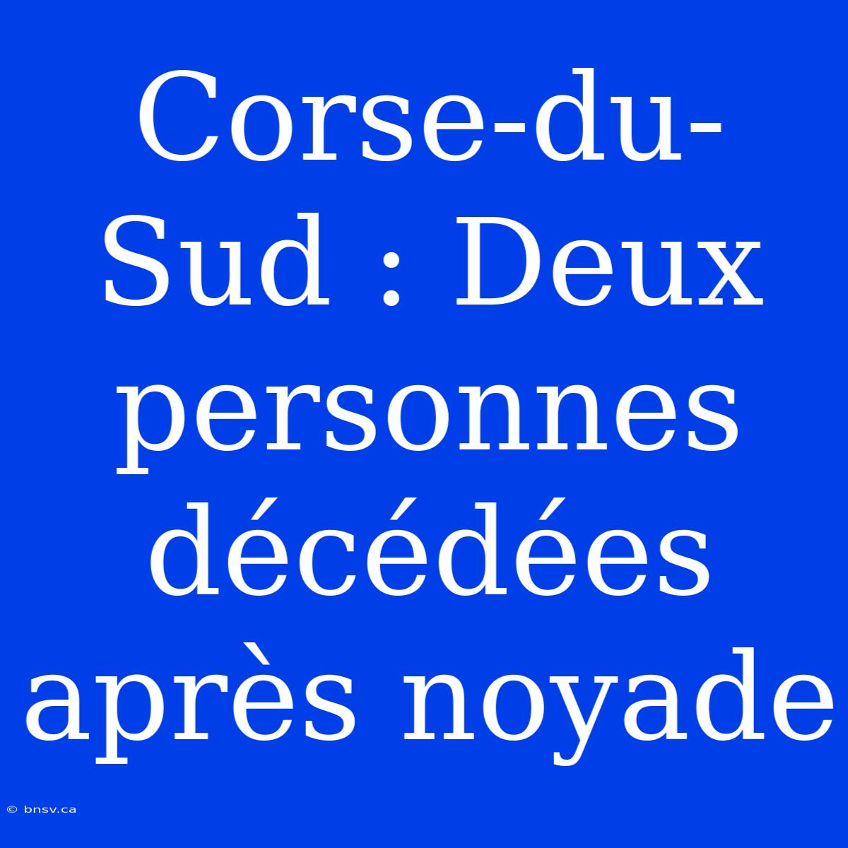 Corse-du-Sud : Deux Personnes Décédées Après Noyade