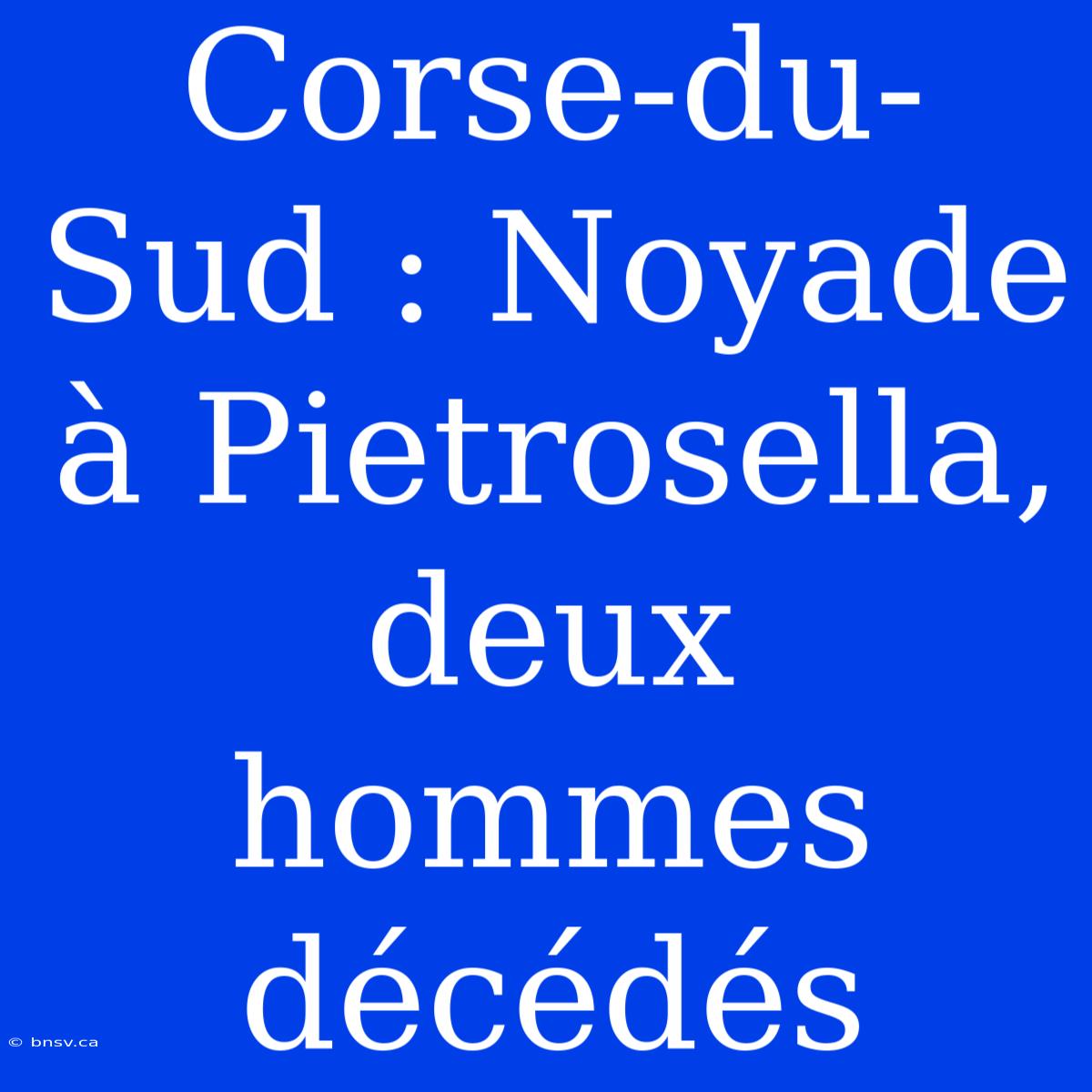 Corse-du-Sud : Noyade À Pietrosella, Deux Hommes Décédés