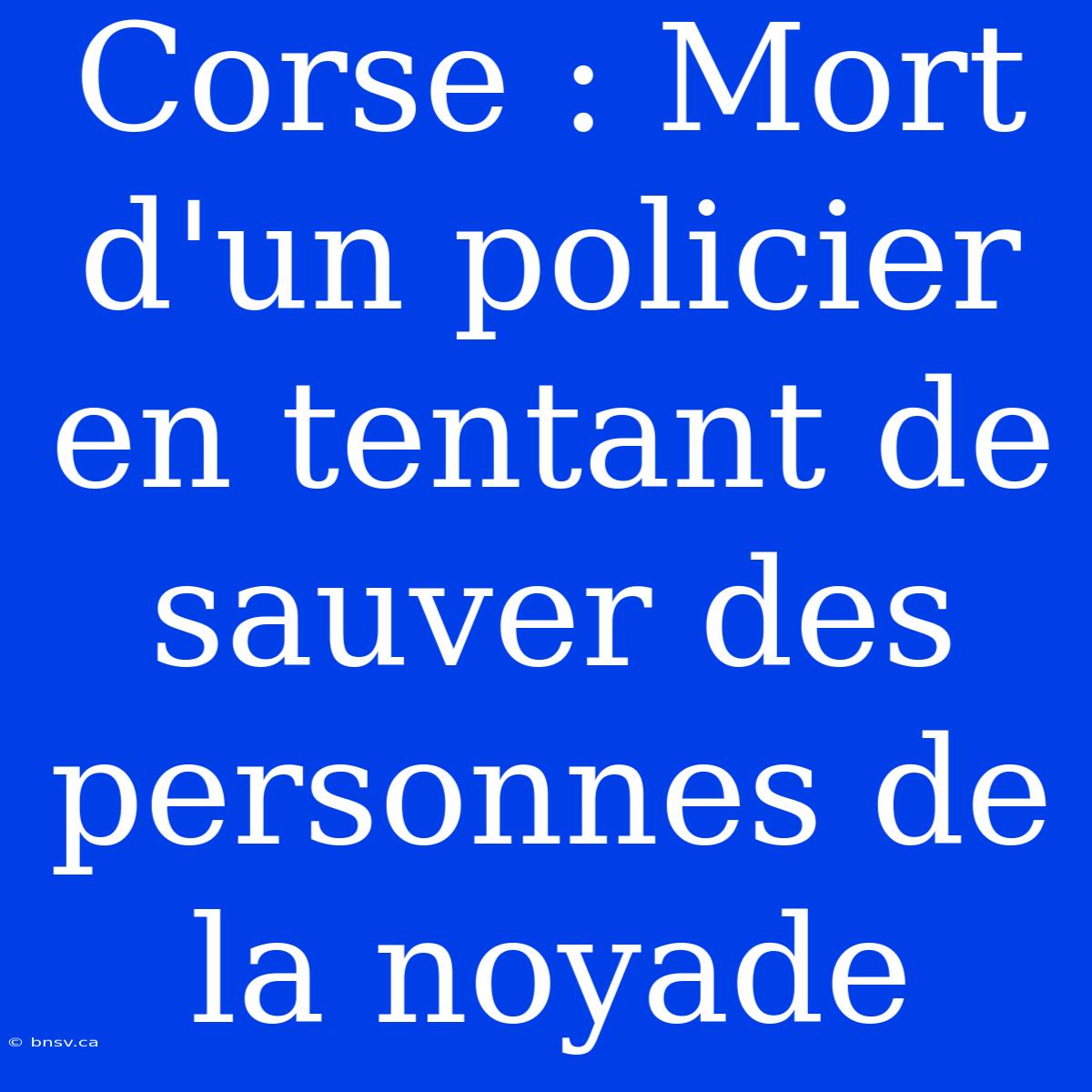 Corse : Mort D'un Policier En Tentant De Sauver Des Personnes De La Noyade