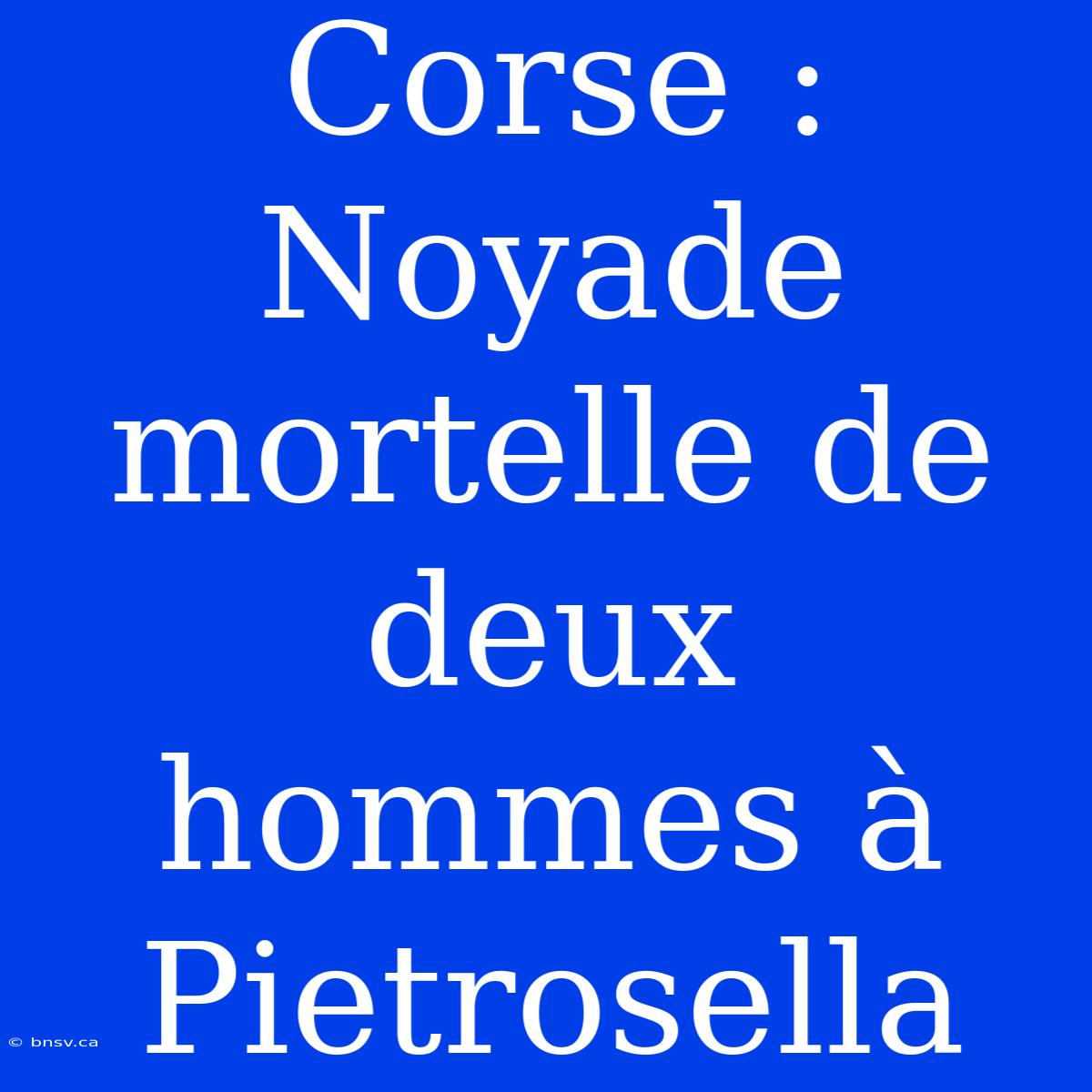 Corse : Noyade Mortelle De Deux Hommes À Pietrosella