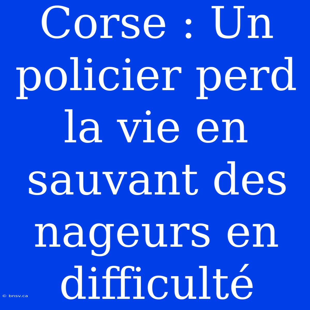 Corse : Un Policier Perd La Vie En Sauvant Des Nageurs En Difficulté