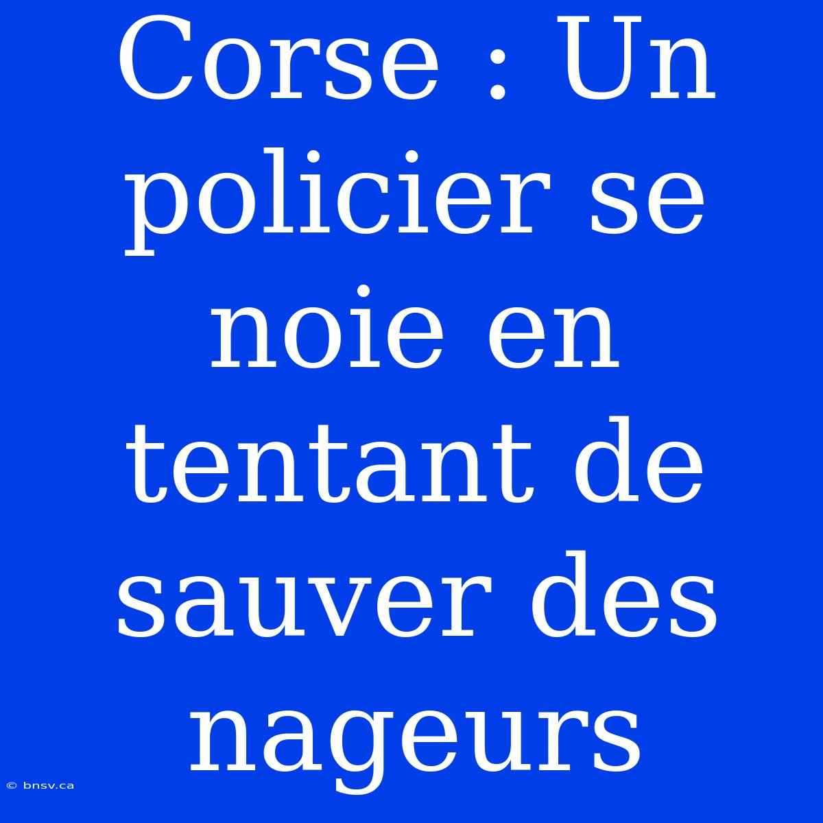 Corse : Un Policier Se Noie En Tentant De Sauver Des Nageurs