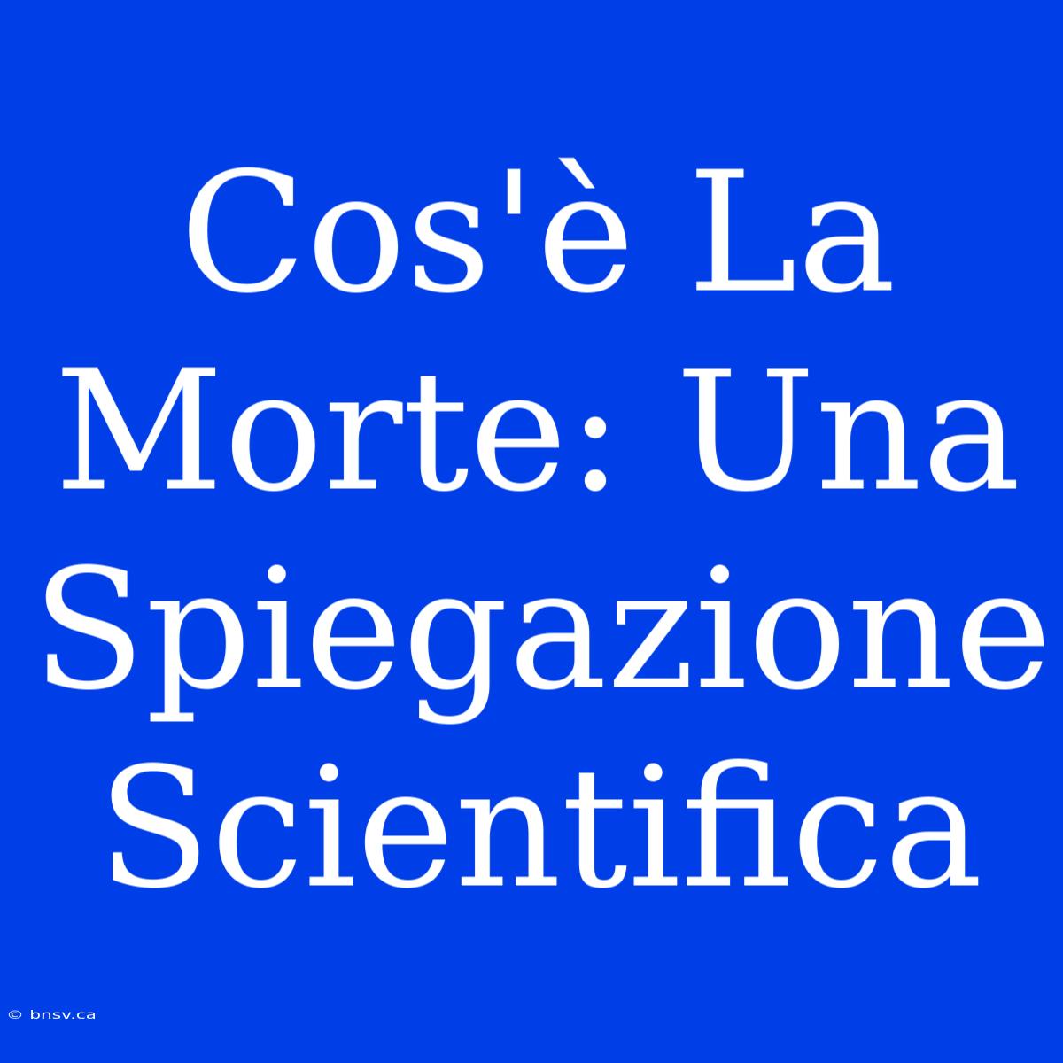 Cos'è La Morte: Una Spiegazione Scientifica