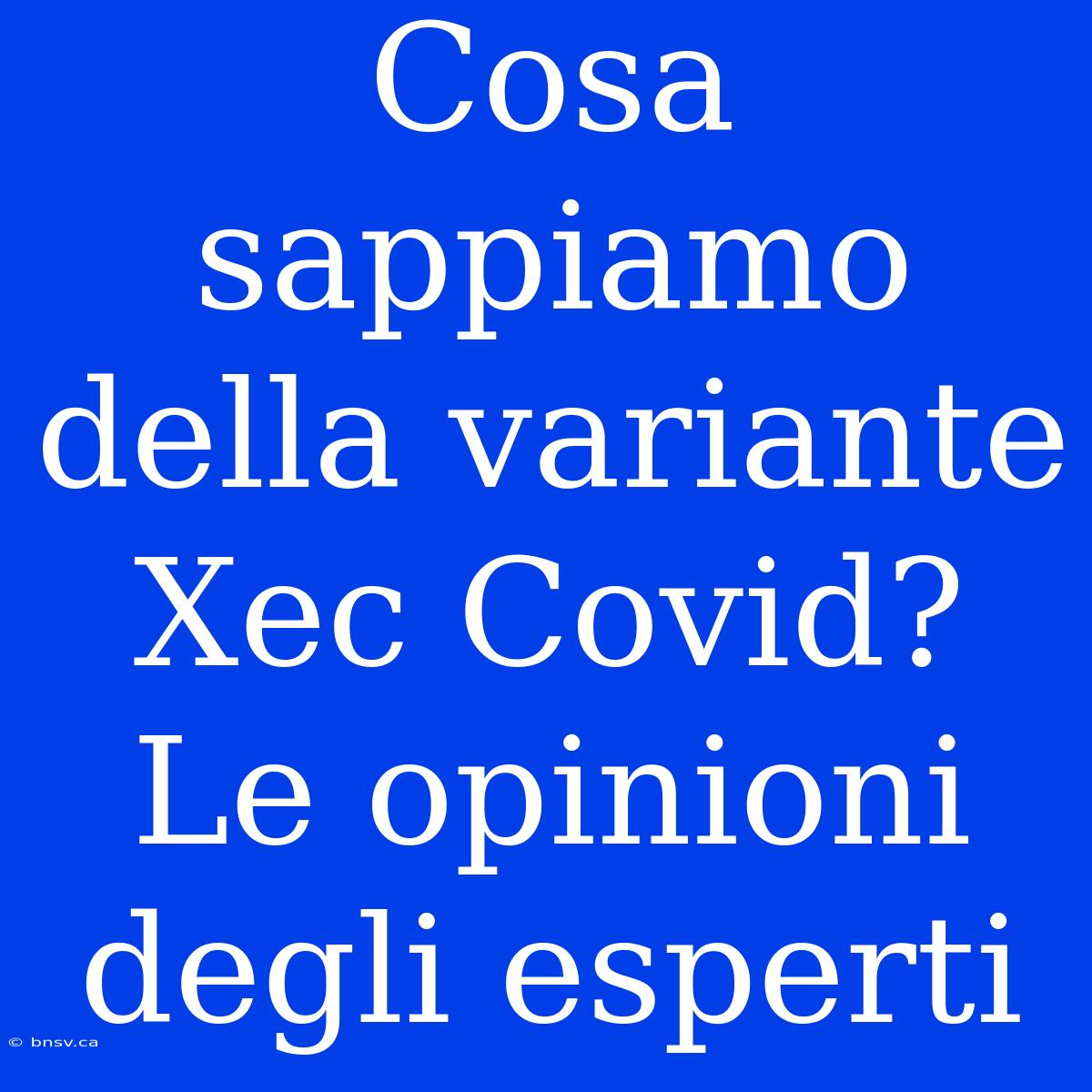 Cosa Sappiamo Della Variante Xec Covid? Le Opinioni Degli Esperti