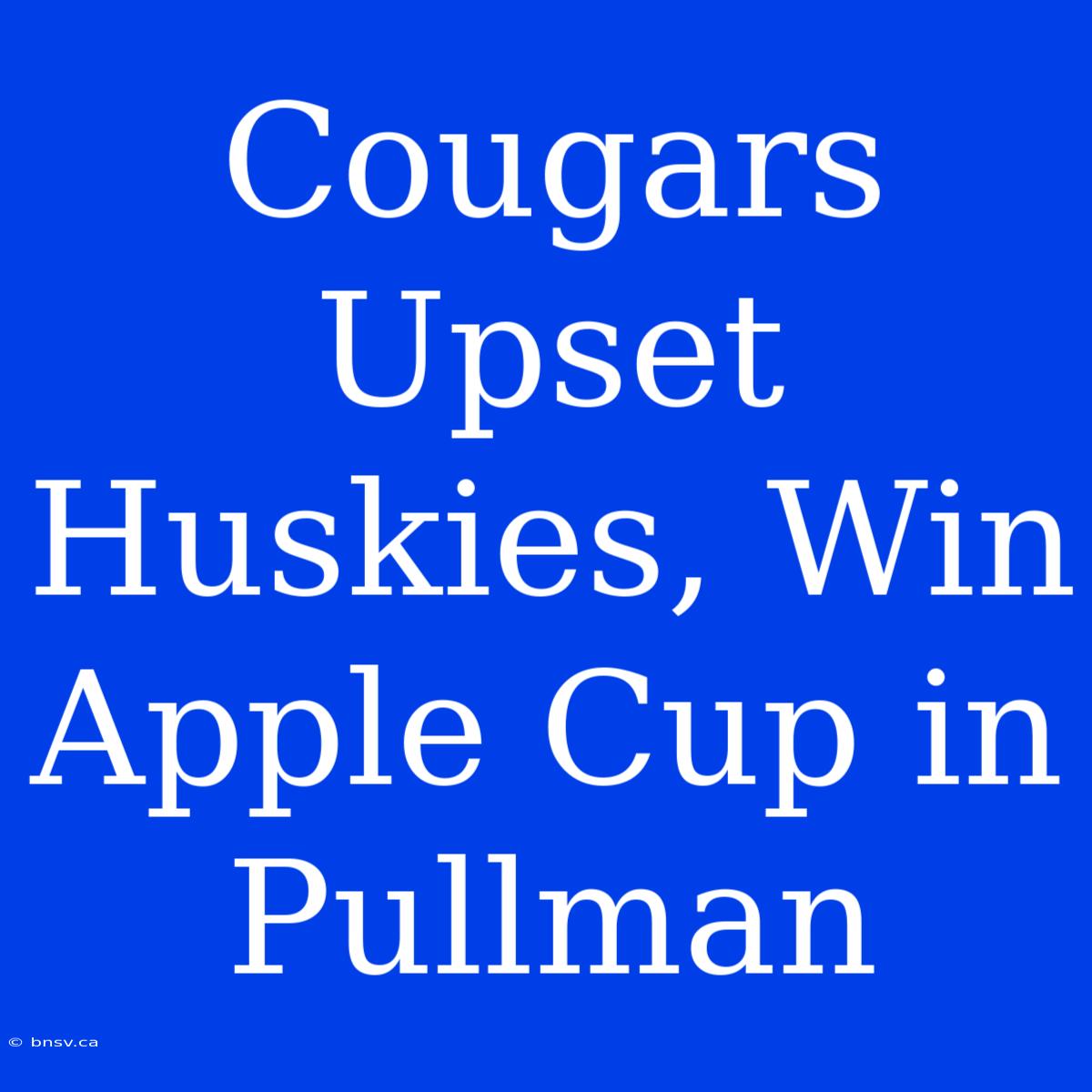 Cougars Upset Huskies, Win Apple Cup In Pullman