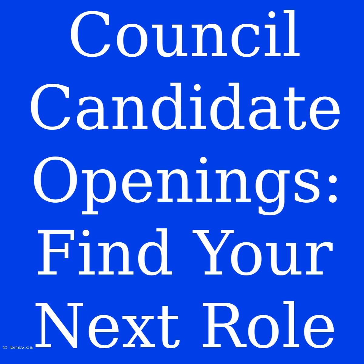 Council Candidate Openings: Find Your Next Role