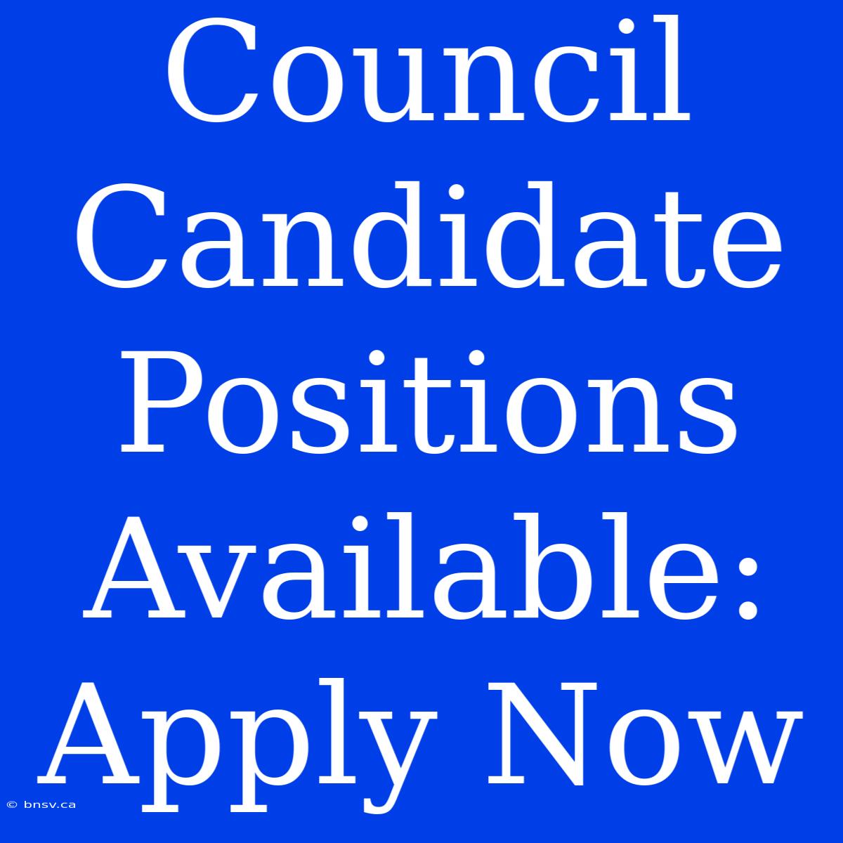 Council Candidate Positions Available: Apply Now