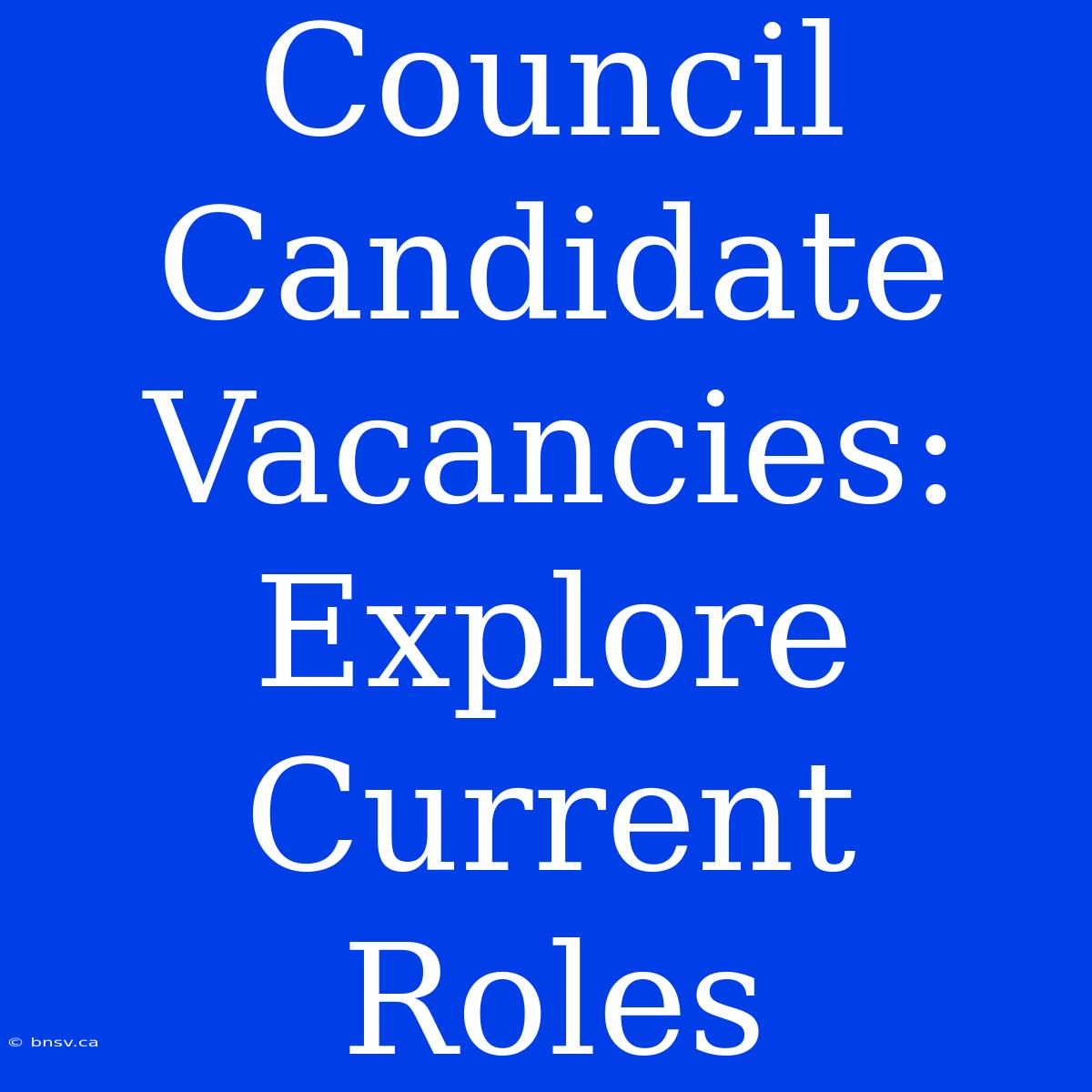 Council Candidate Vacancies: Explore Current Roles