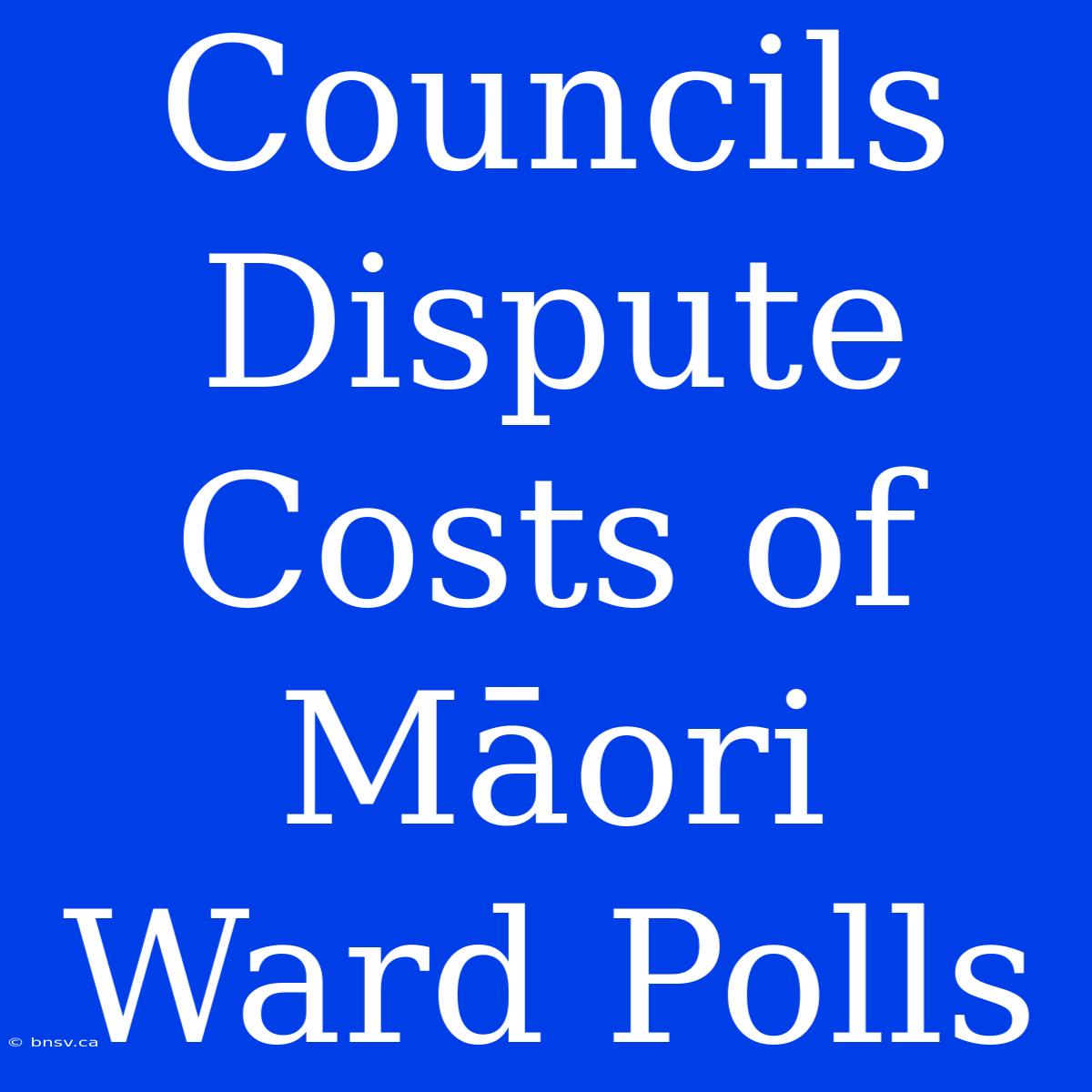 Councils Dispute Costs Of Māori Ward Polls