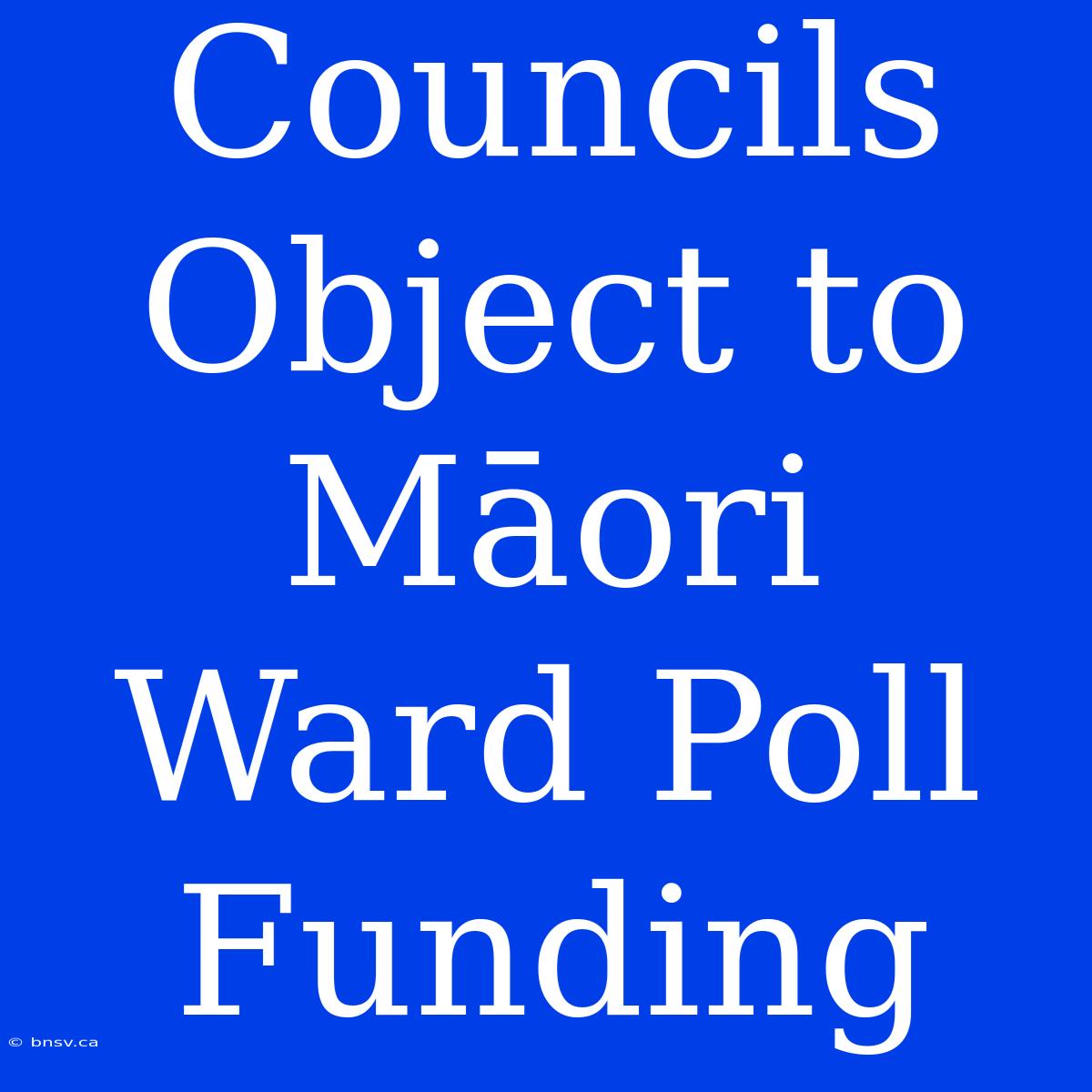 Councils Object To Māori Ward Poll Funding