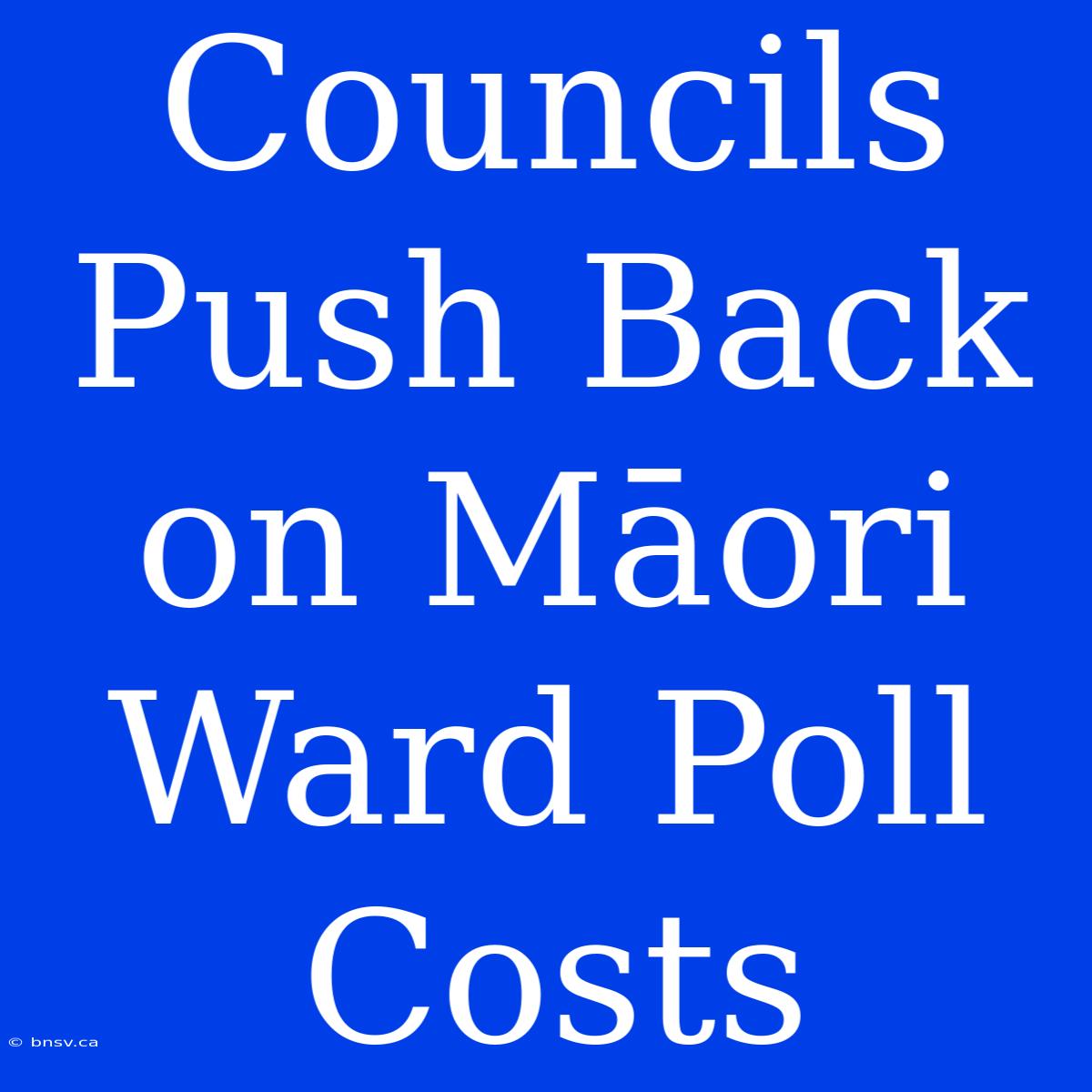 Councils Push Back On Māori Ward Poll Costs