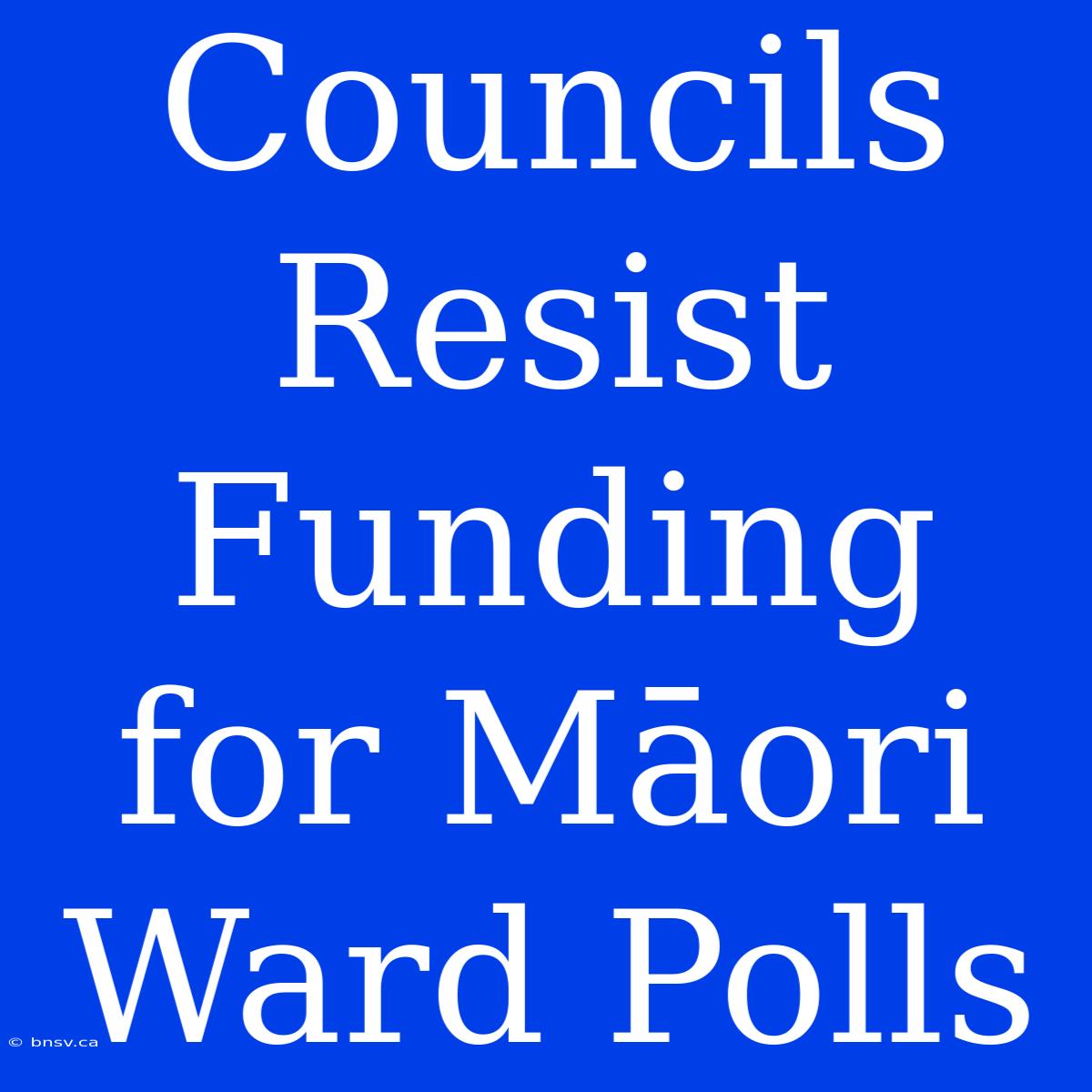 Councils Resist Funding For Māori Ward Polls