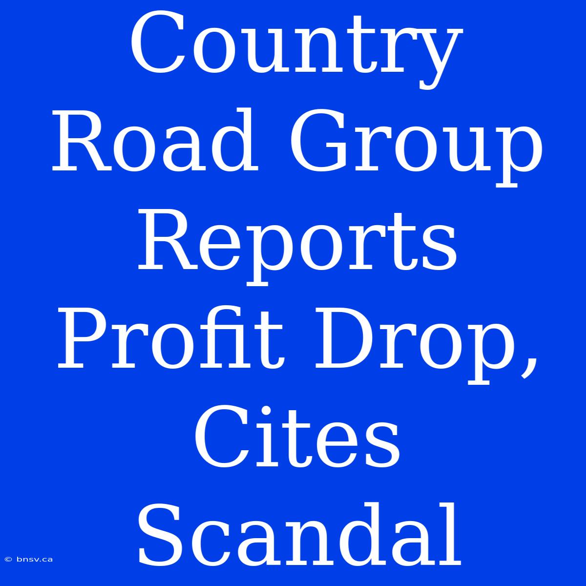 Country Road Group Reports Profit Drop, Cites Scandal