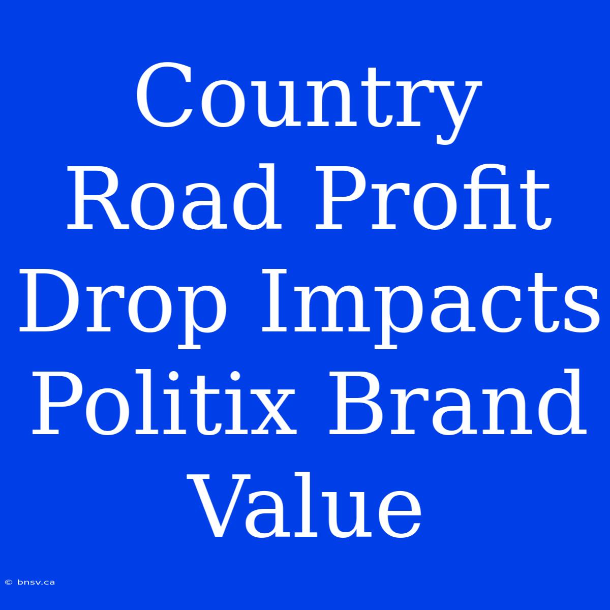 Country Road Profit Drop Impacts Politix Brand Value