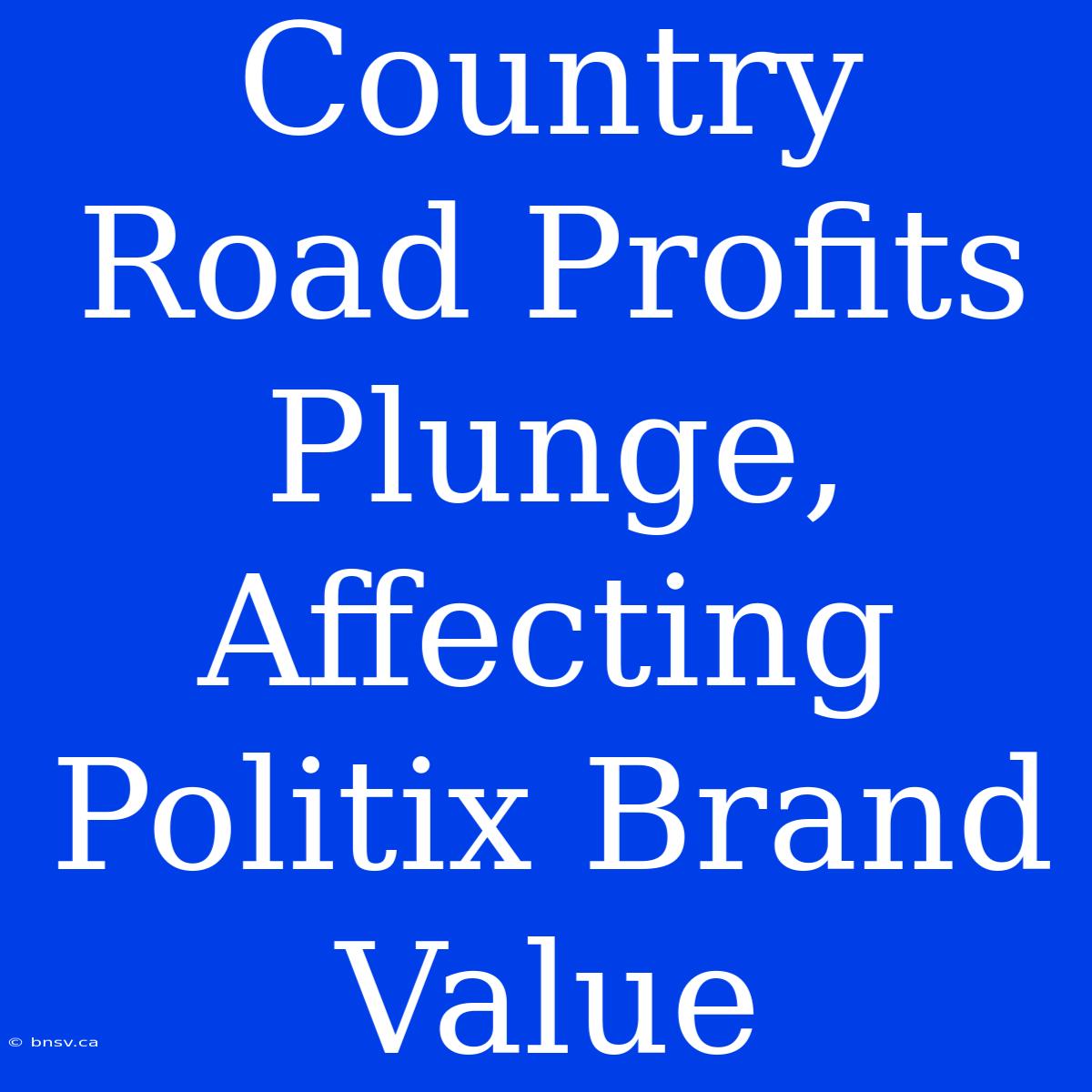 Country Road Profits Plunge, Affecting Politix Brand Value