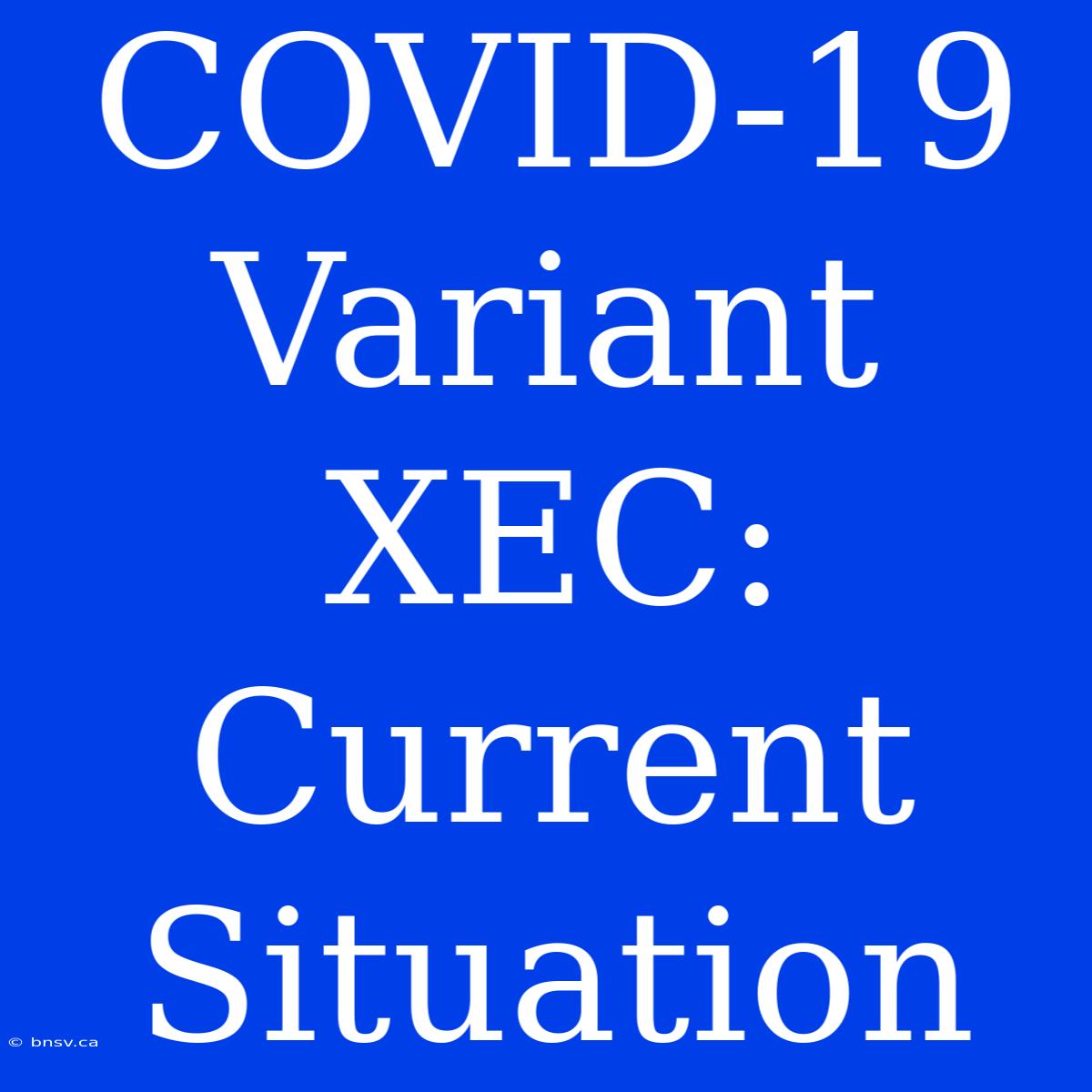 COVID-19 Variant XEC: Current Situation