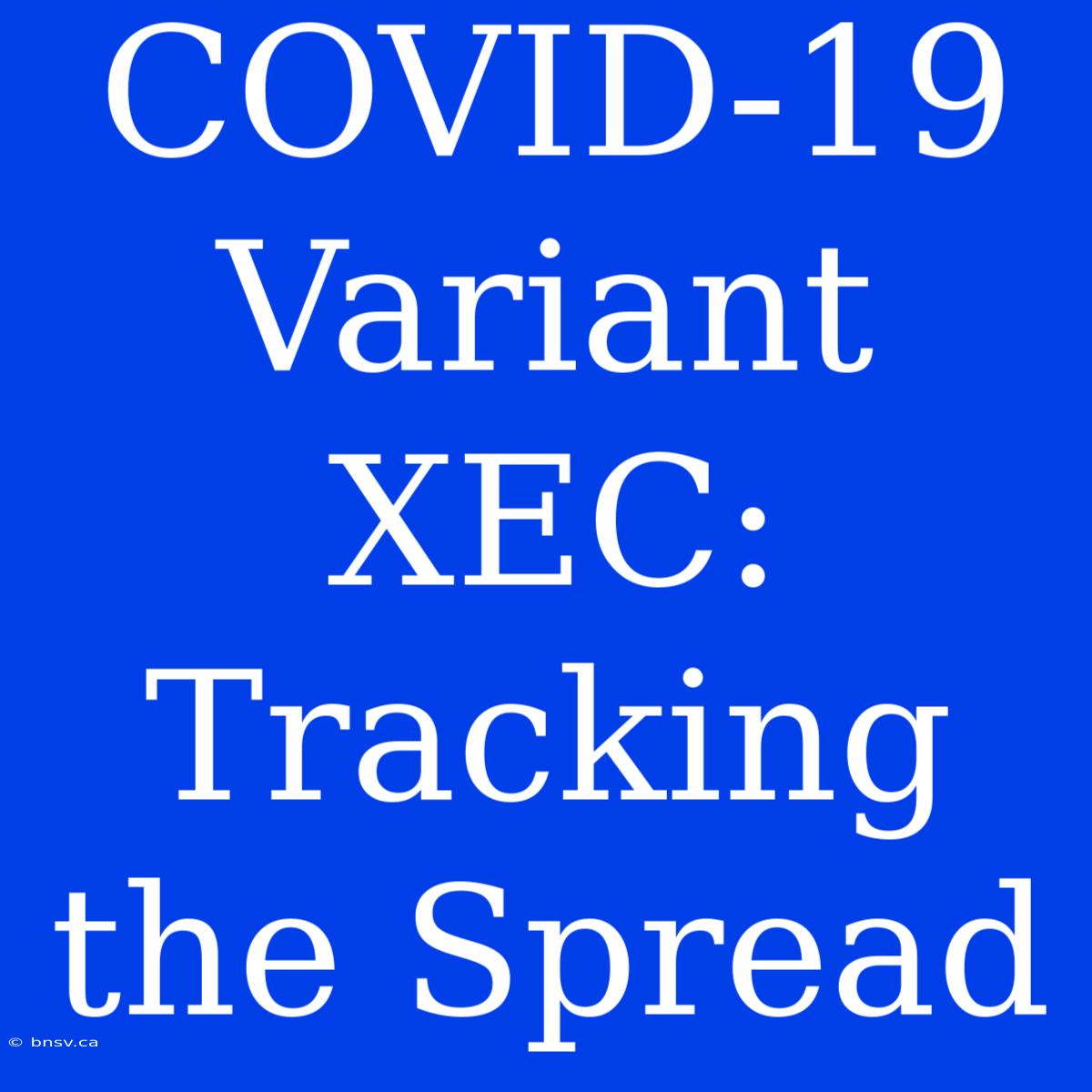 COVID-19 Variant XEC: Tracking The Spread