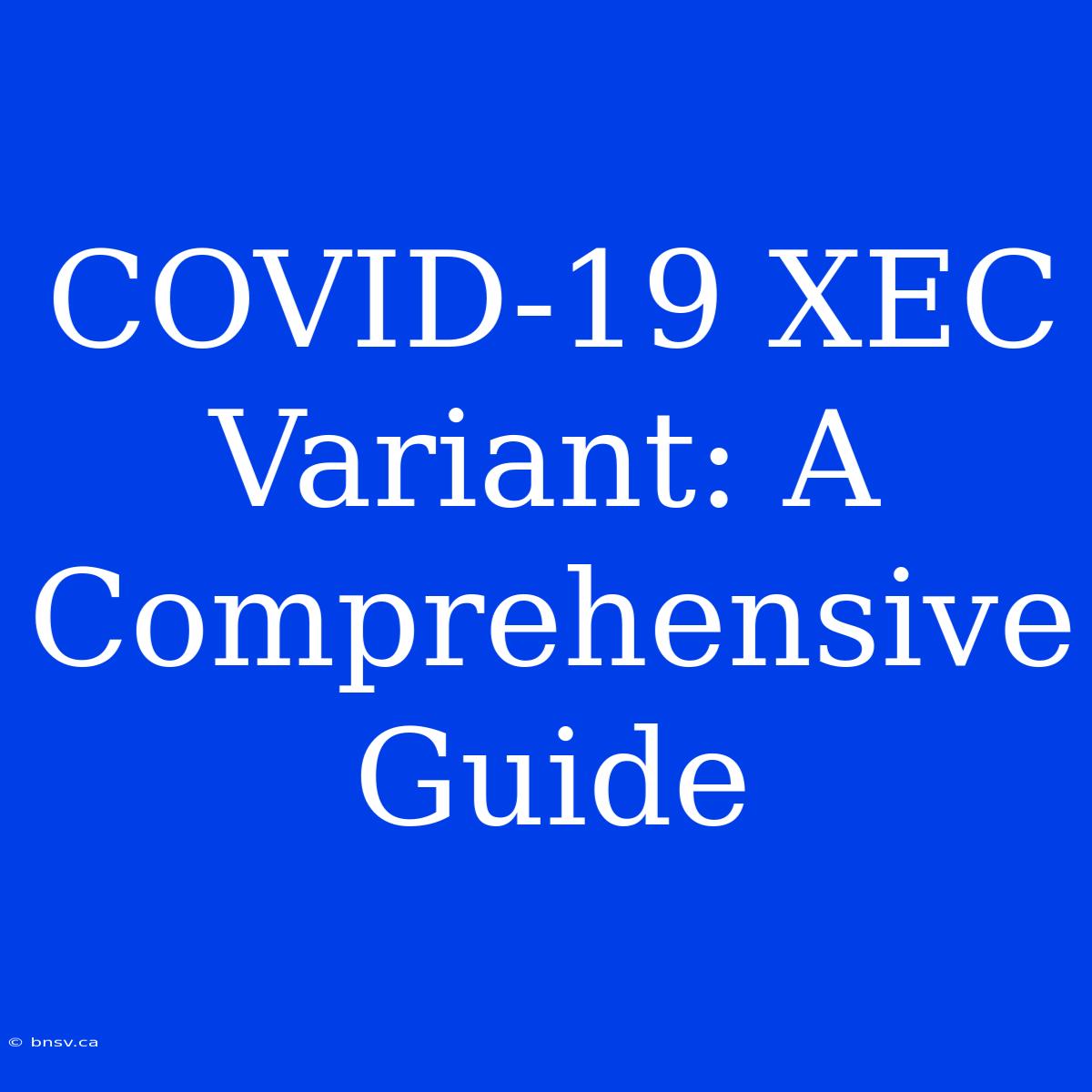 COVID-19 XEC Variant: A Comprehensive Guide