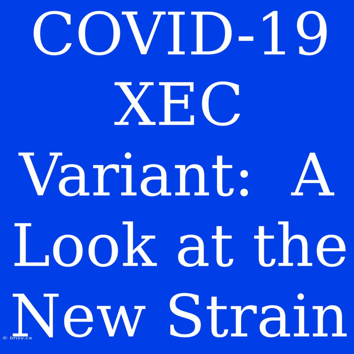 COVID-19 XEC Variant:  A Look At The New Strain