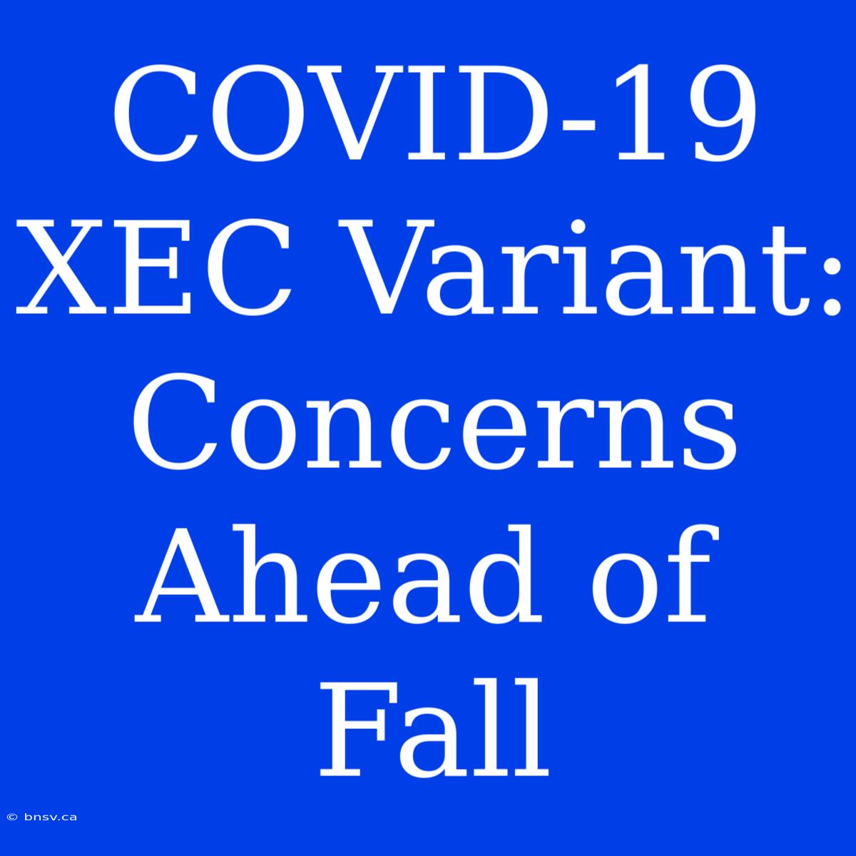 COVID-19 XEC Variant: Concerns Ahead Of Fall