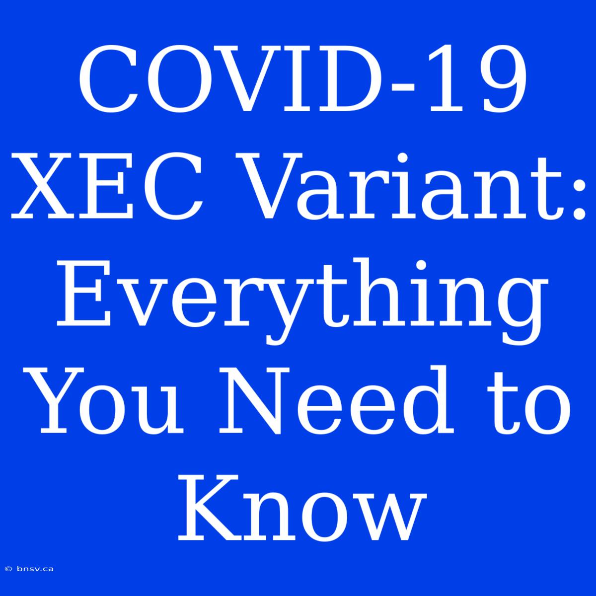 COVID-19 XEC Variant: Everything You Need To Know