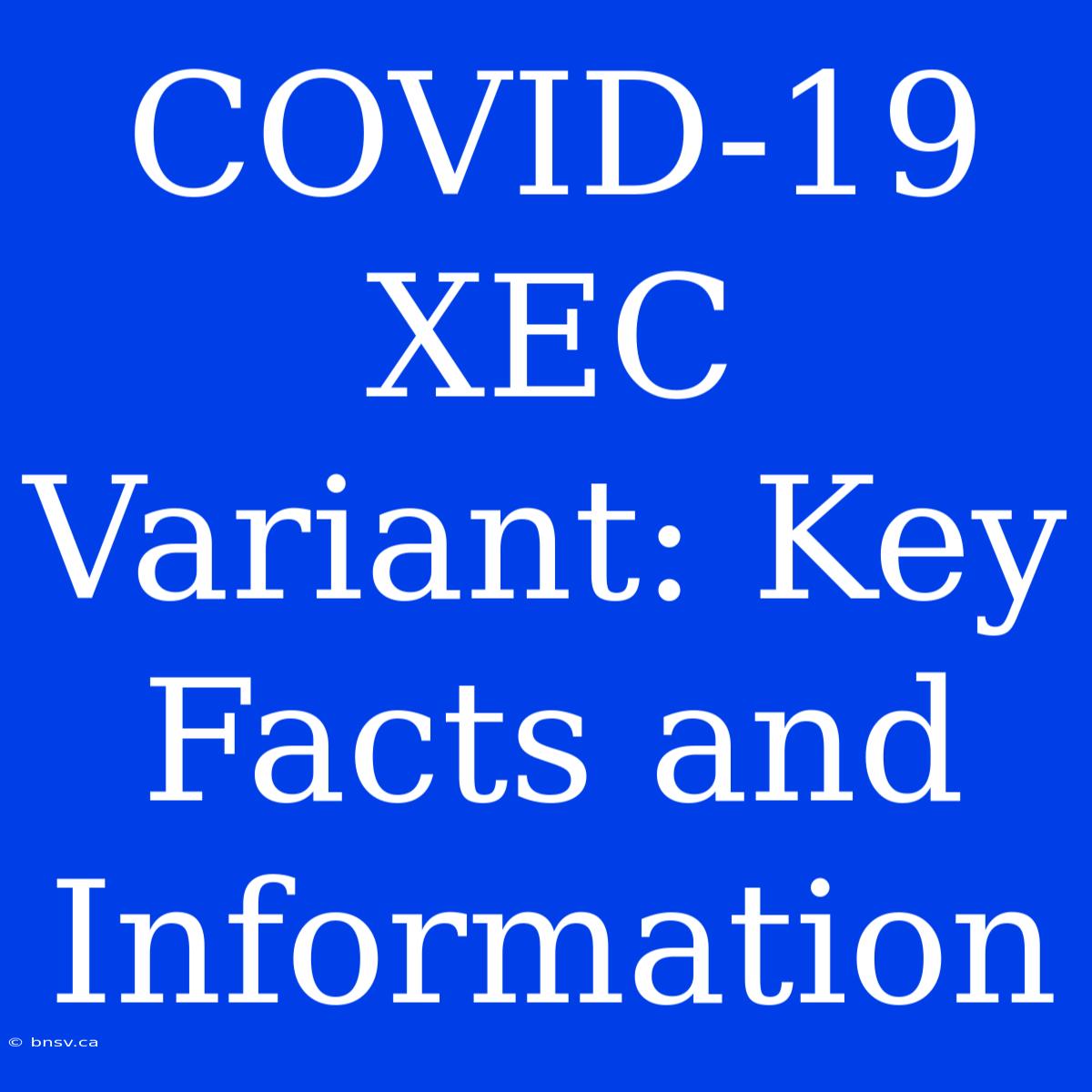 COVID-19 XEC Variant: Key Facts And Information