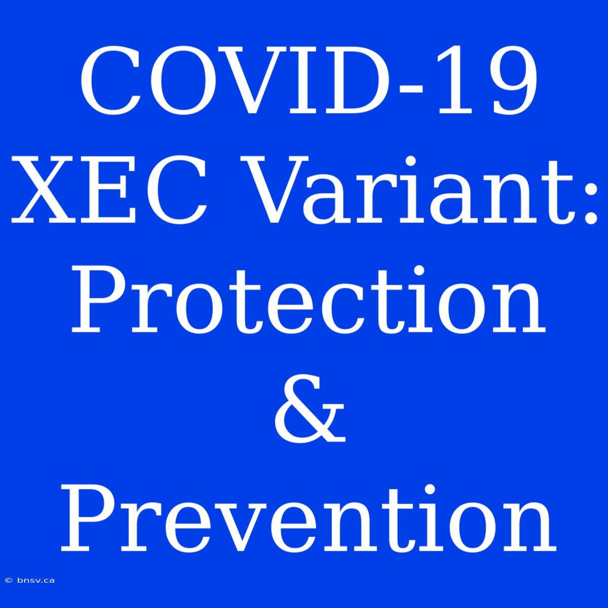 COVID-19 XEC Variant: Protection & Prevention