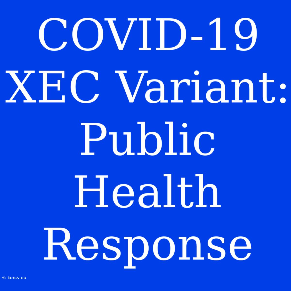 COVID-19 XEC Variant: Public Health Response