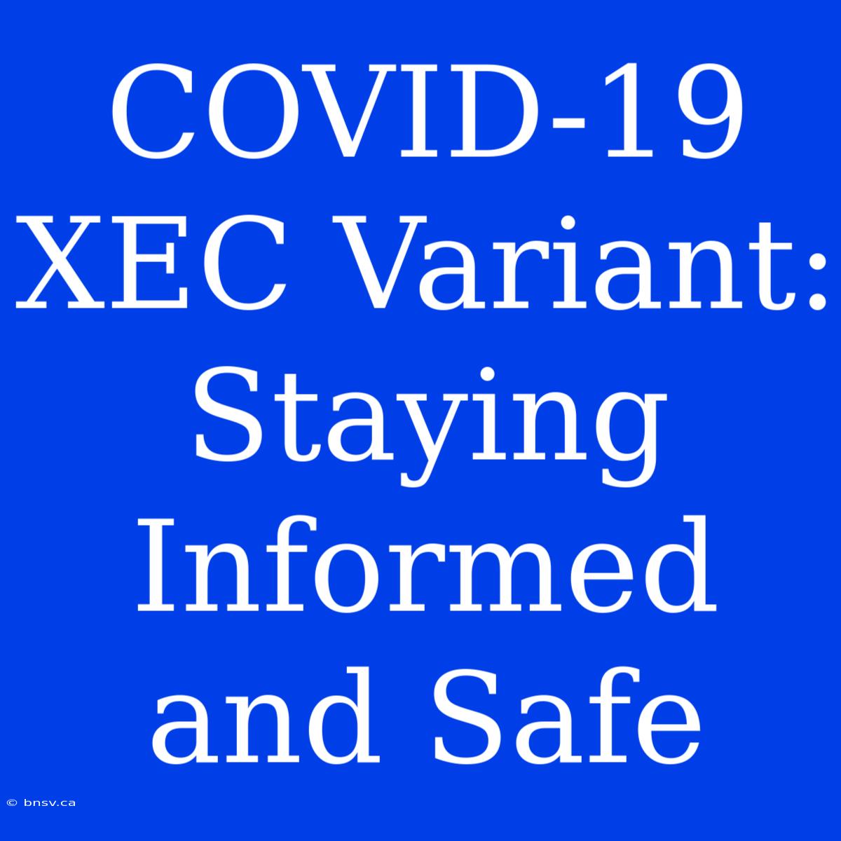 COVID-19 XEC Variant: Staying Informed And Safe