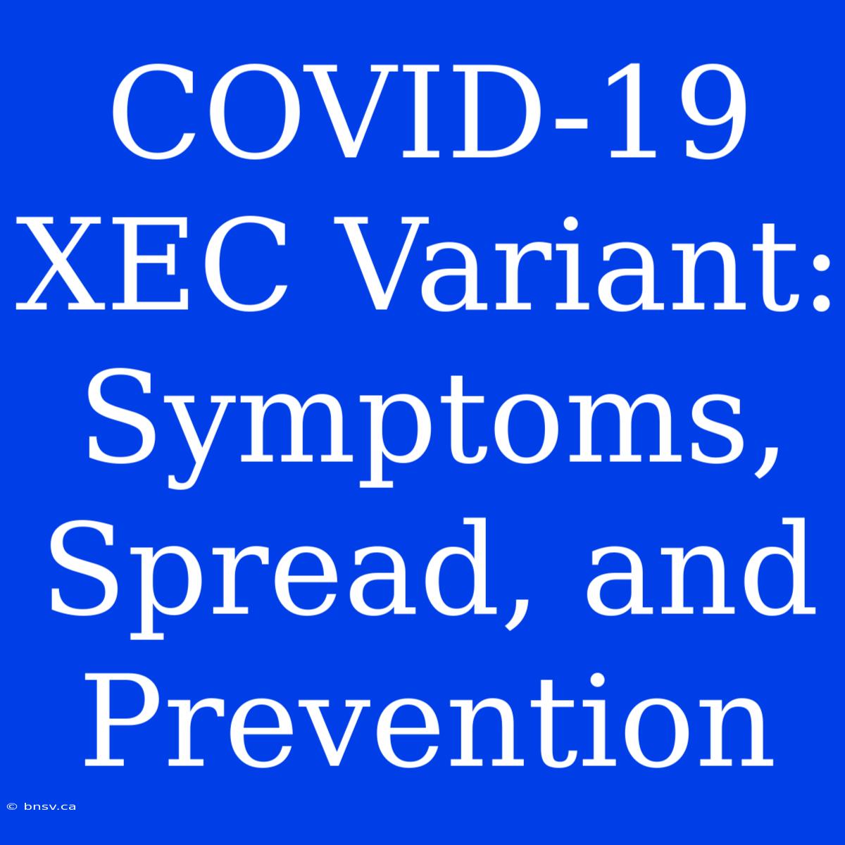 COVID-19 XEC Variant: Symptoms, Spread, And Prevention