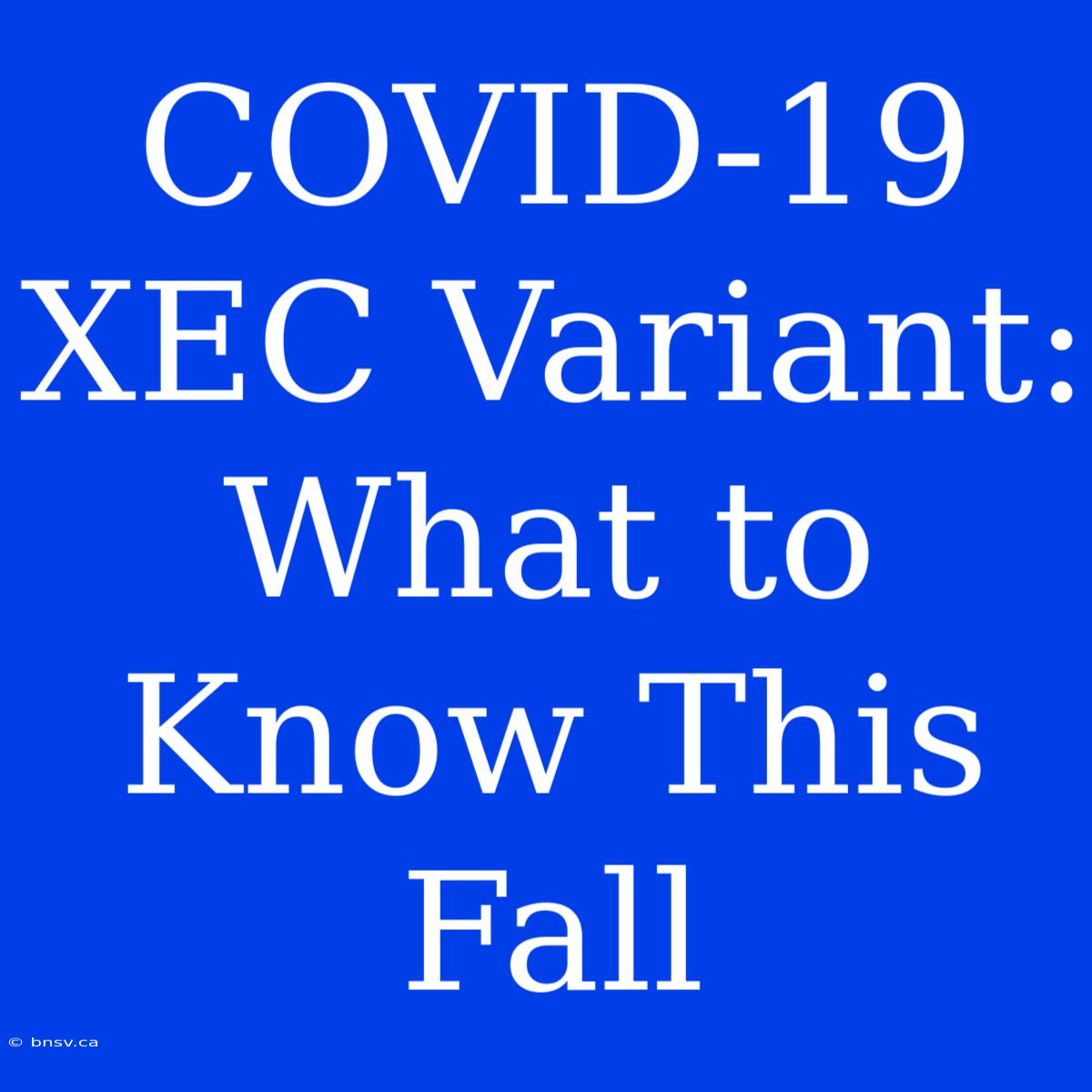 COVID-19 XEC Variant: What To Know This Fall