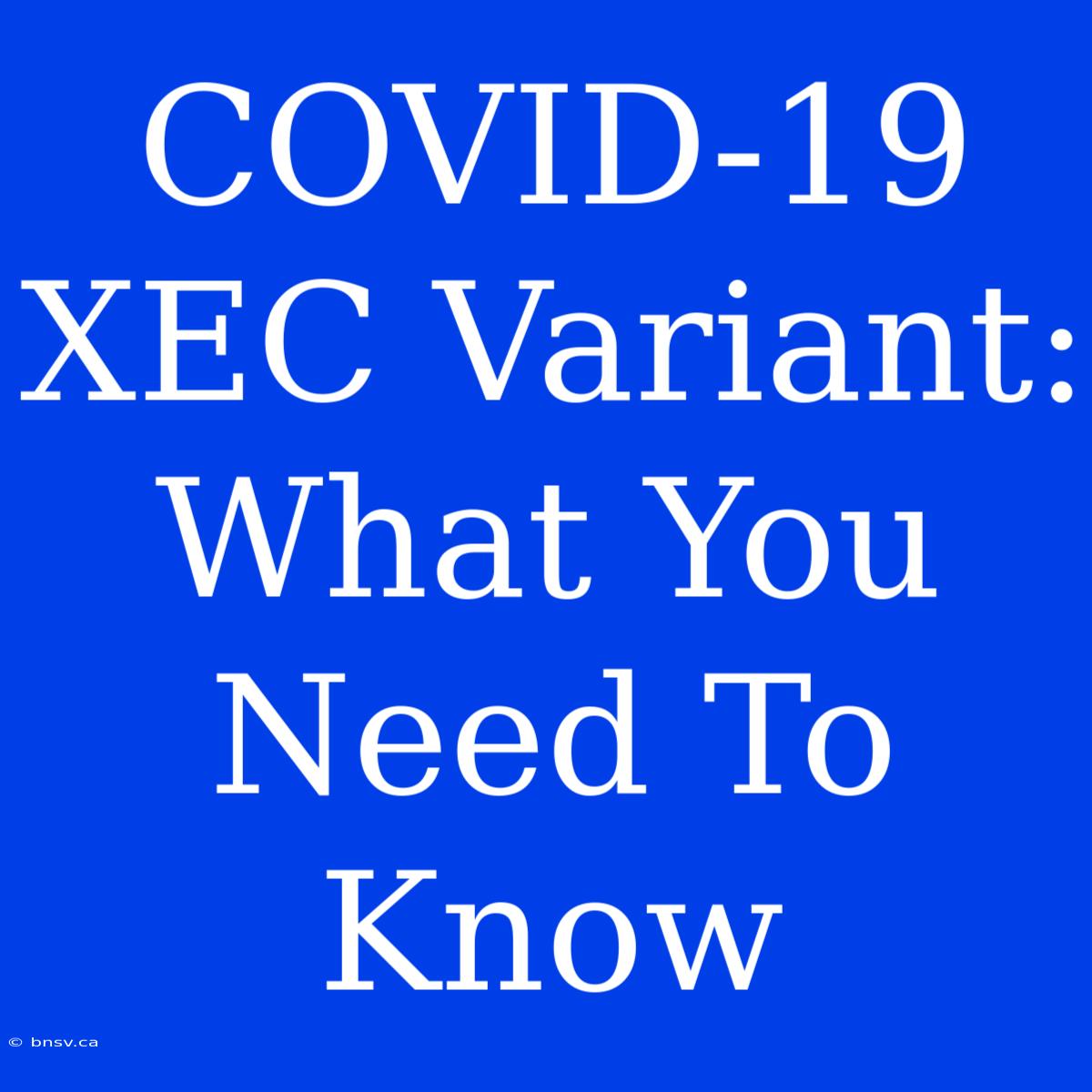 COVID-19 XEC Variant: What You Need To Know