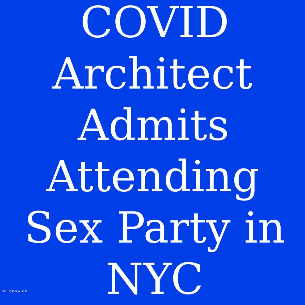 COVID Architect Admits Attending Sex Party In NYC