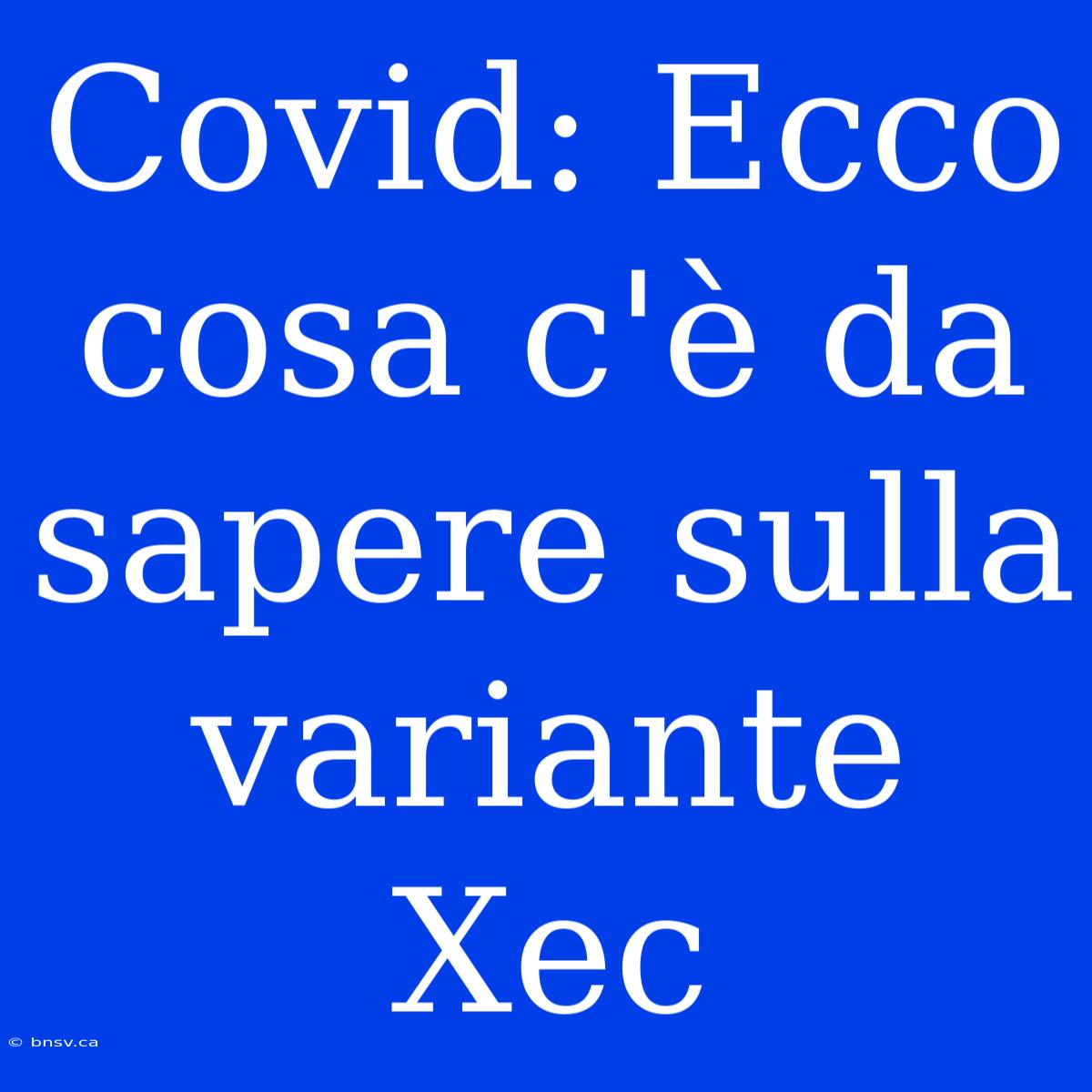 Covid: Ecco Cosa C'è Da Sapere Sulla Variante Xec