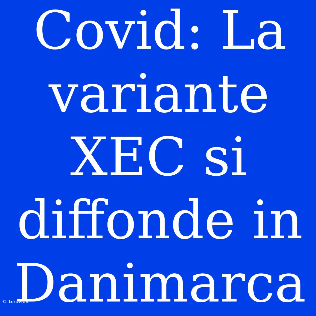 Covid: La Variante XEC Si Diffonde In Danimarca