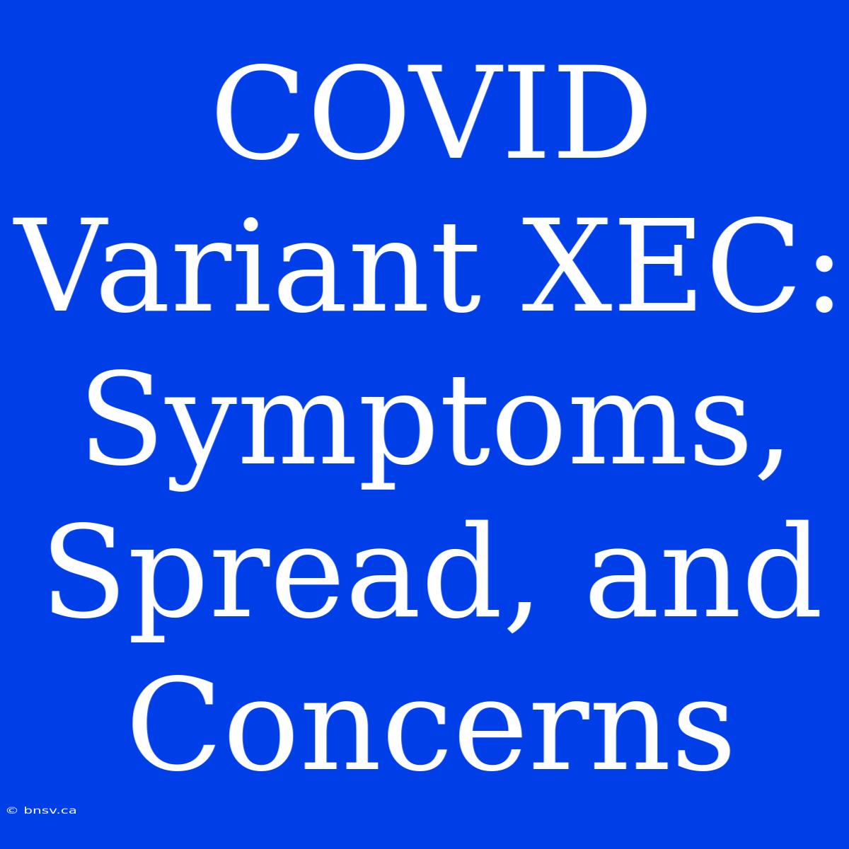 COVID Variant XEC: Symptoms, Spread, And Concerns