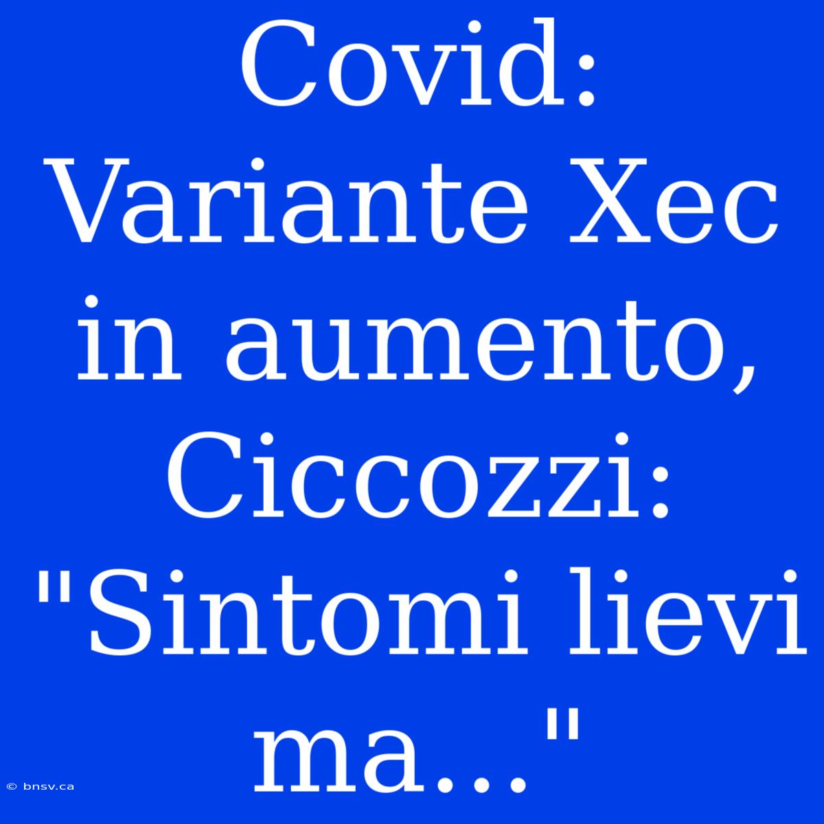 Covid: Variante Xec In Aumento, Ciccozzi: 