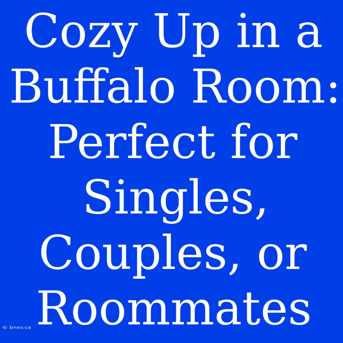 Cozy Up In A Buffalo Room: Perfect For Singles, Couples, Or Roommates