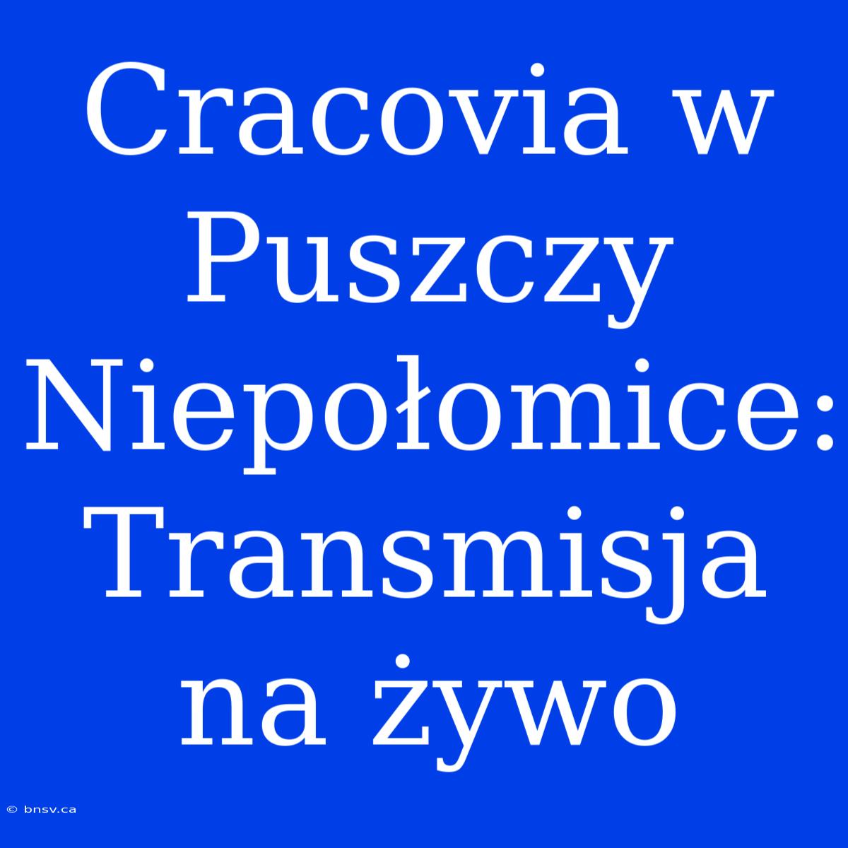 Cracovia W Puszczy Niepołomice: Transmisja Na Żywo