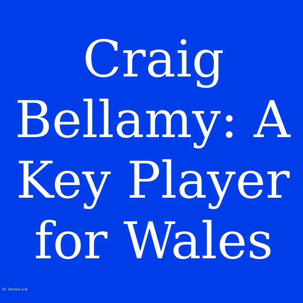 Craig Bellamy: A Key Player For Wales