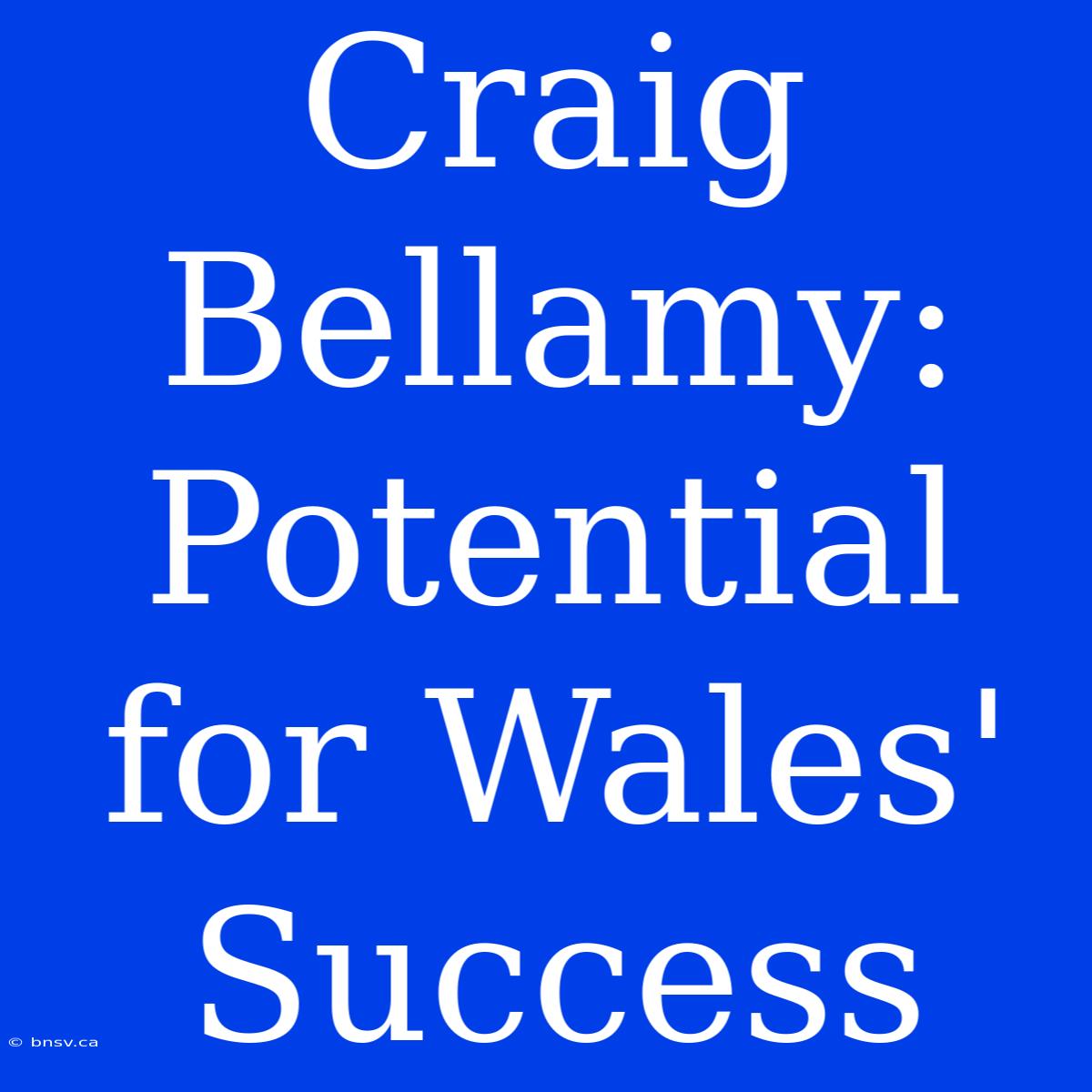 Craig Bellamy: Potential For Wales' Success