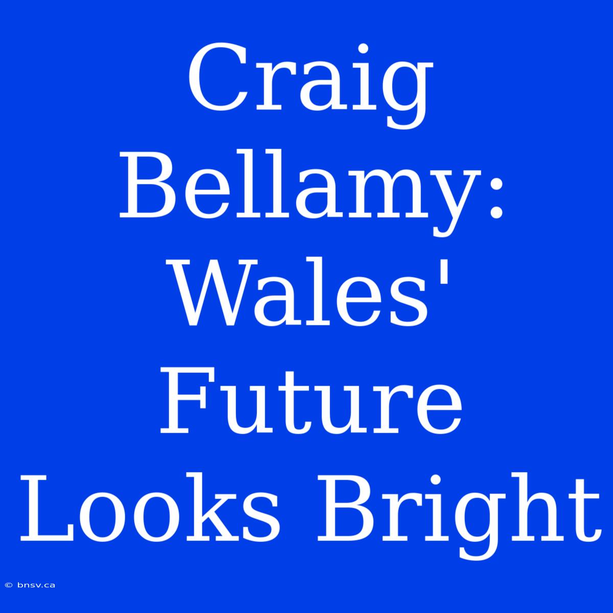 Craig Bellamy: Wales' Future Looks Bright