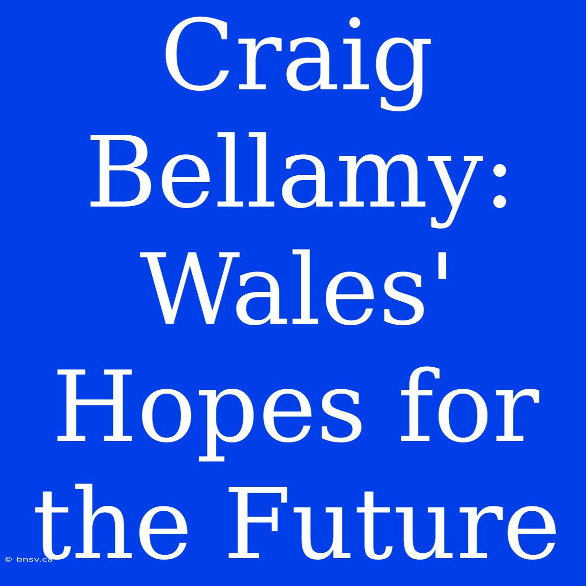 Craig Bellamy:  Wales' Hopes For The Future