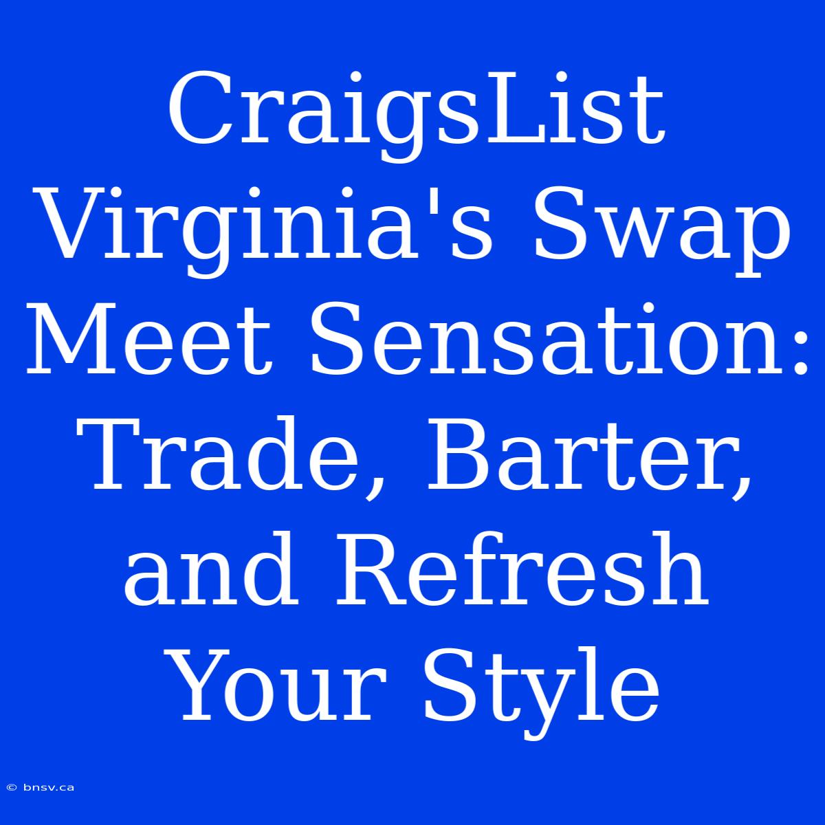 CraigsList Virginia's Swap Meet Sensation: Trade, Barter, And Refresh Your Style