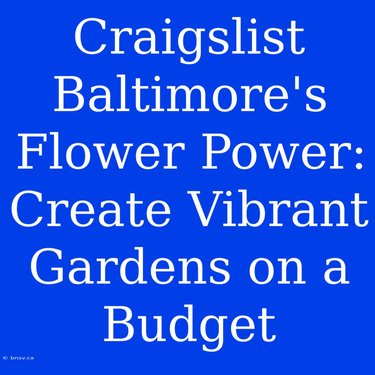 Craigslist Baltimore's Flower Power: Create Vibrant Gardens On A Budget