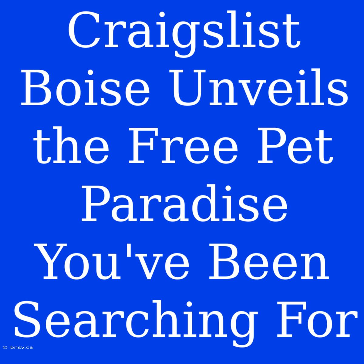 Craigslist Boise Unveils The Free Pet Paradise You've Been Searching For