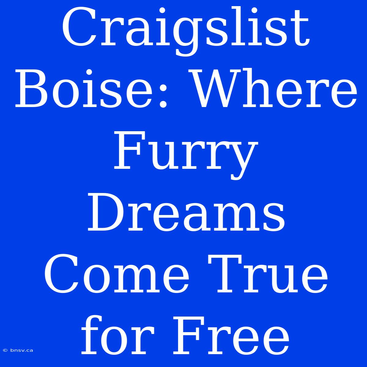 Craigslist Boise: Where Furry Dreams Come True For Free