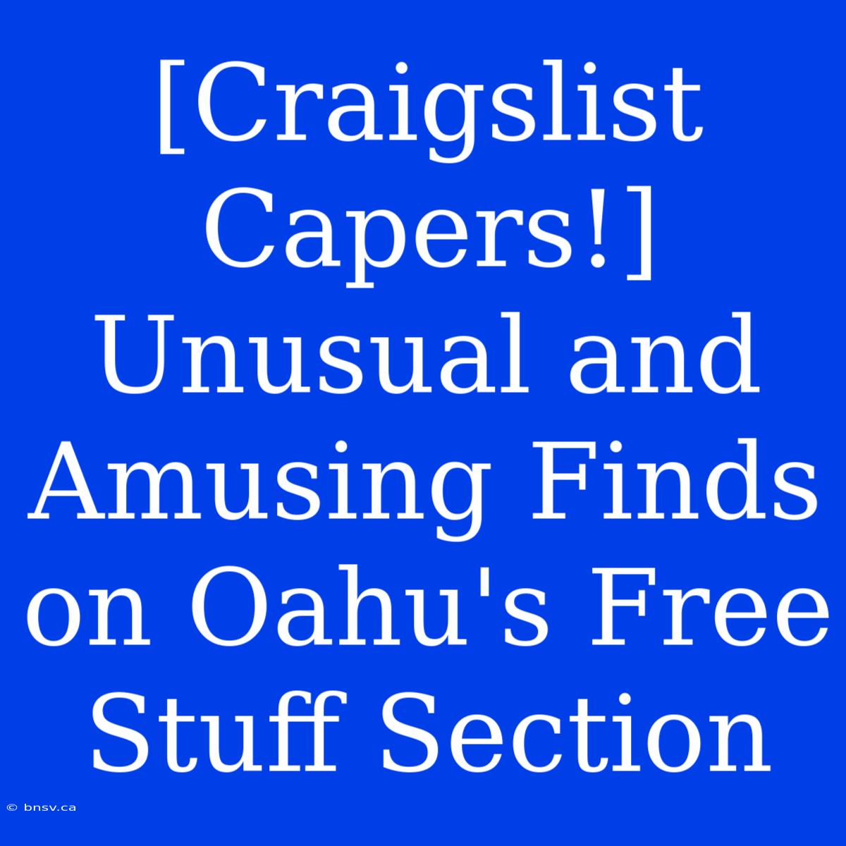 [Craigslist Capers!] Unusual And Amusing Finds On Oahu's Free Stuff Section