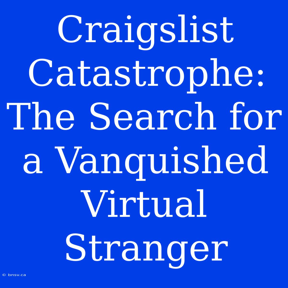 Craigslist Catastrophe: The Search For A Vanquished Virtual Stranger